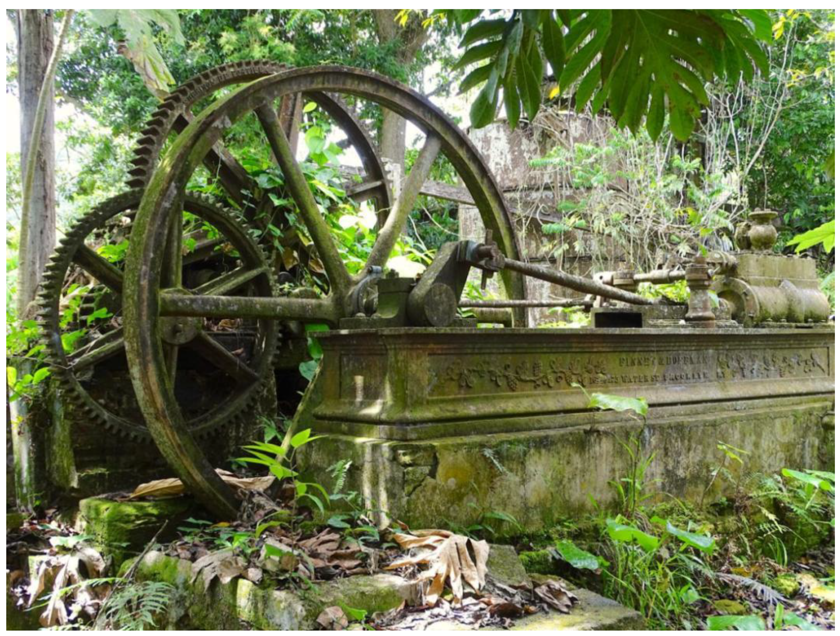 Histories 04 00013 g012