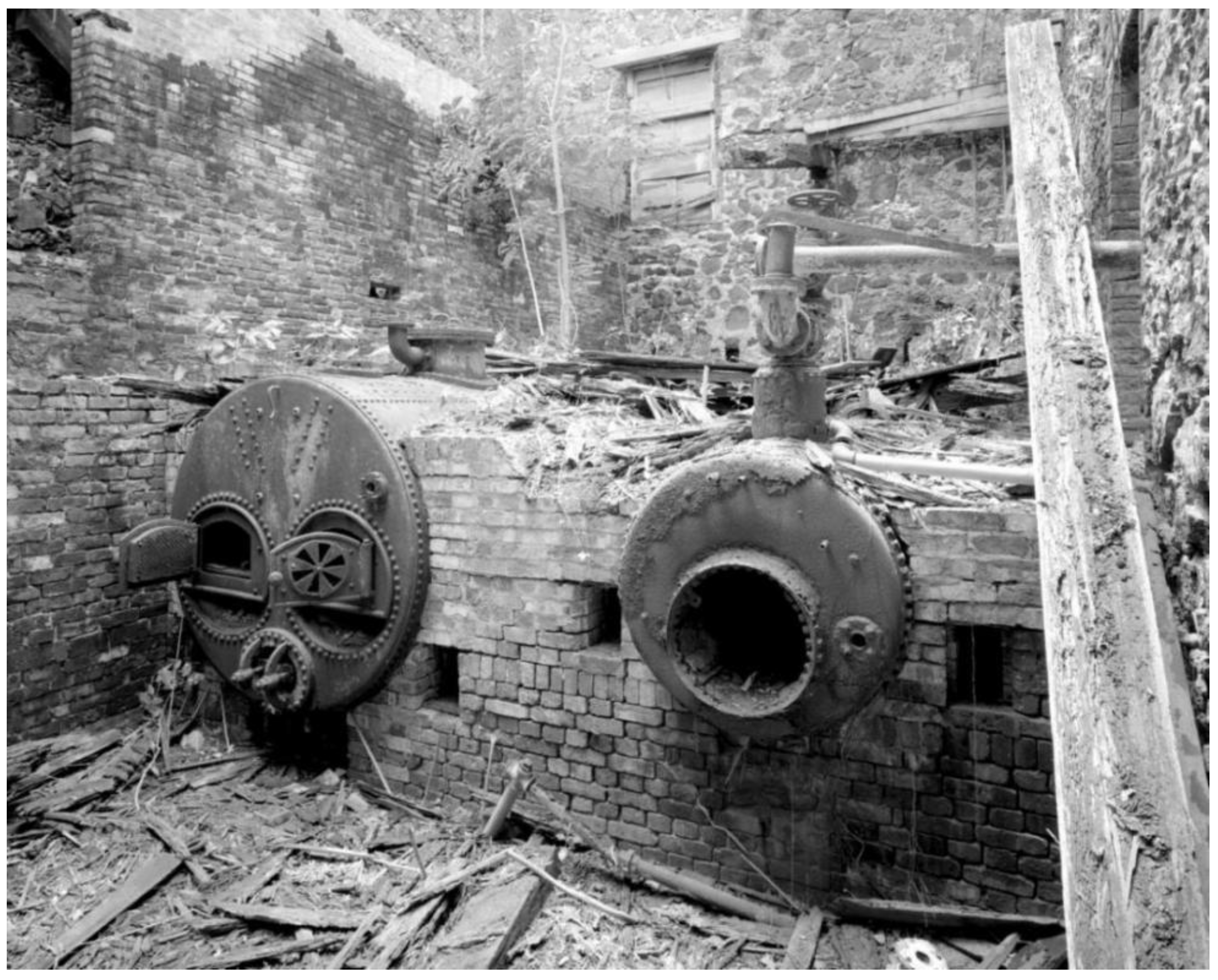 Histories 04 00013 g025