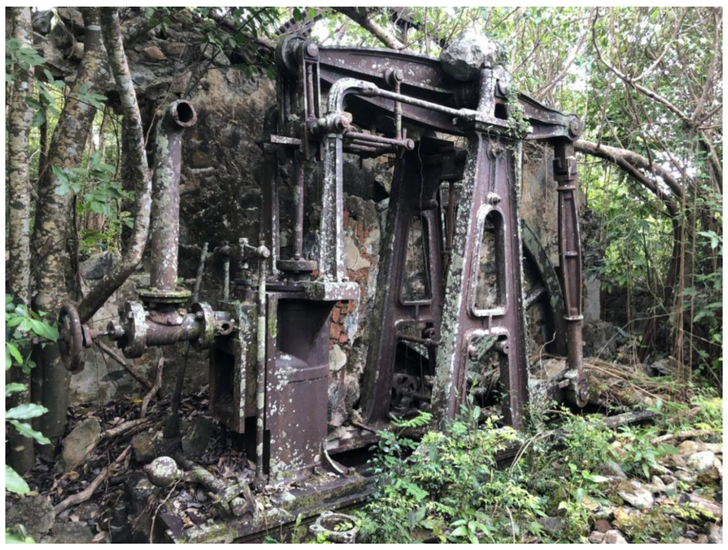 Histories 04 00013 g026