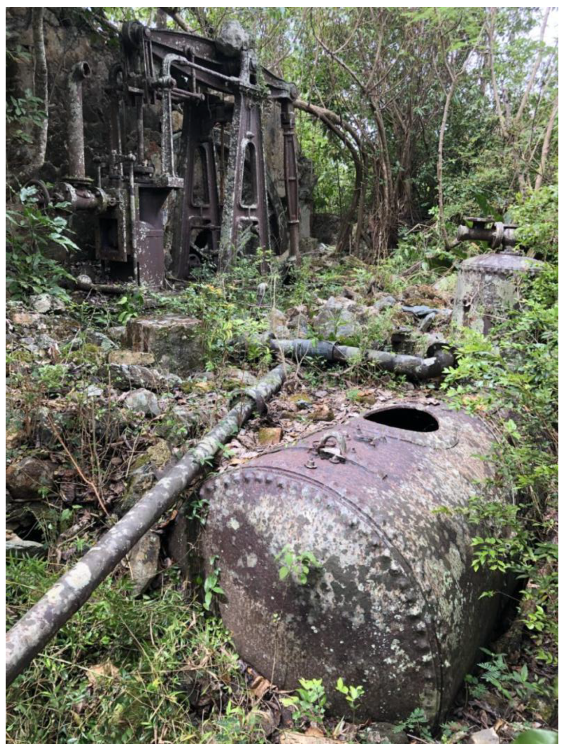 Histories 04 00013 g028