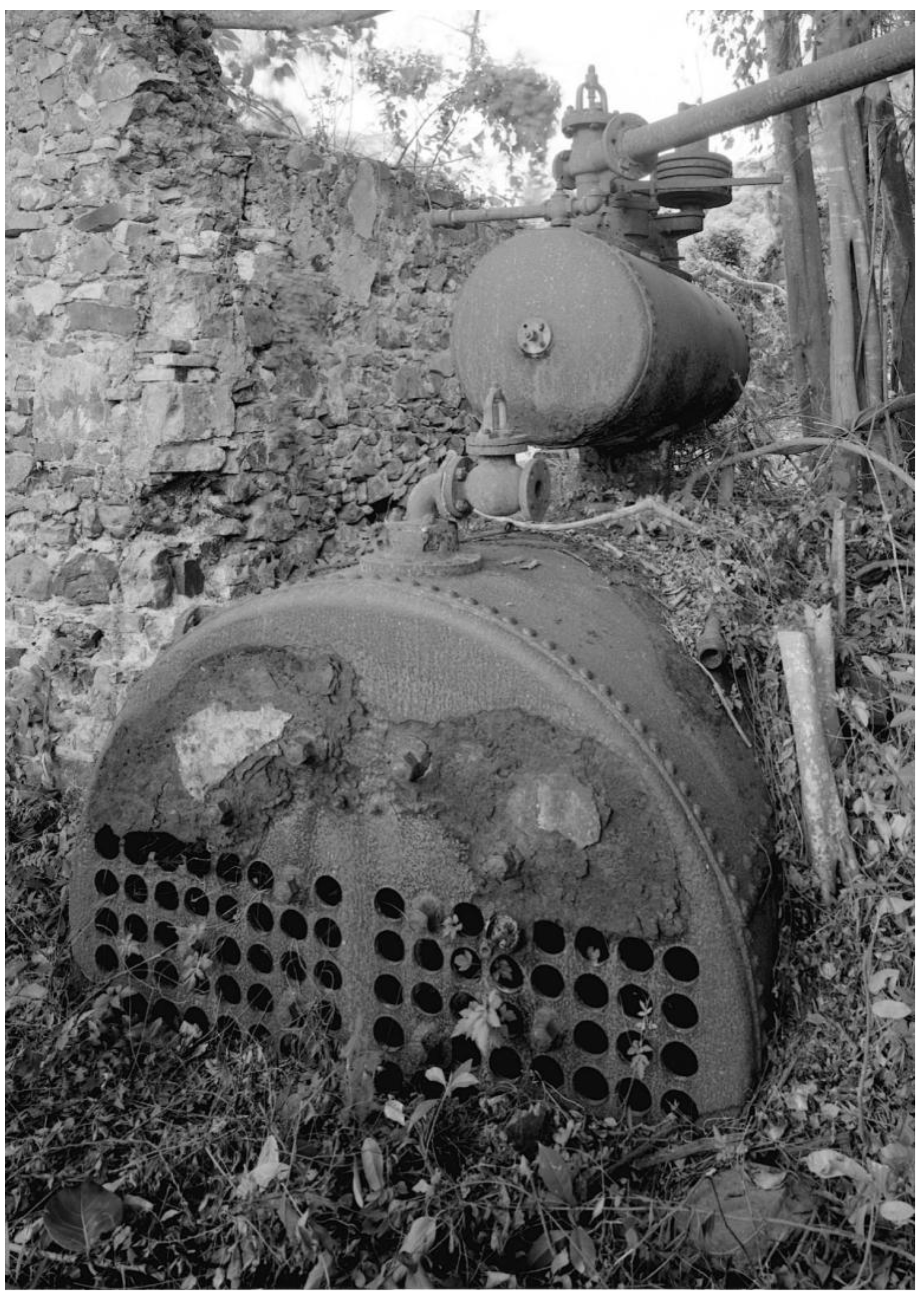 Histories 04 00013 g038