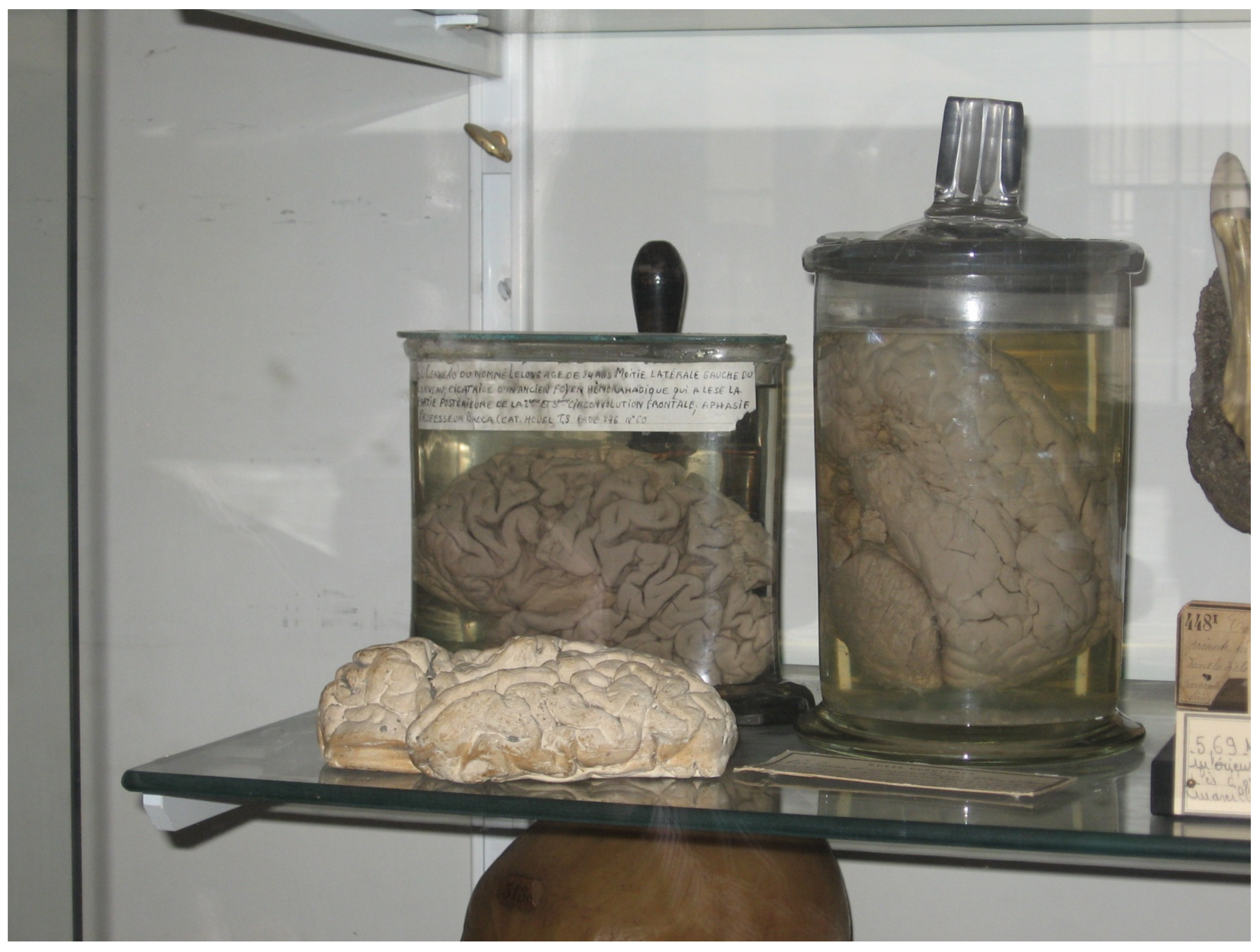 Histories 04 00018 g003