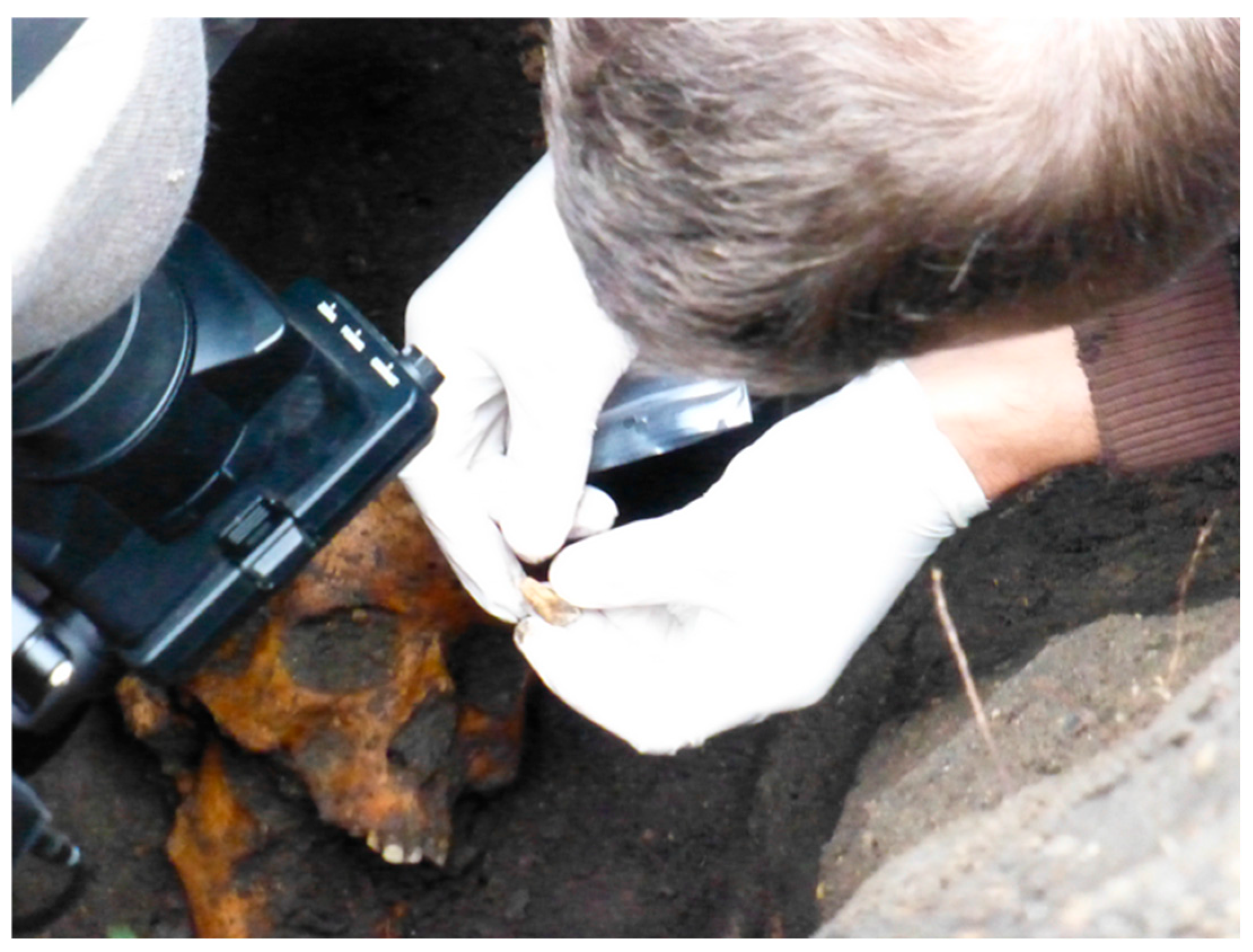 Histories 05 00017 g009