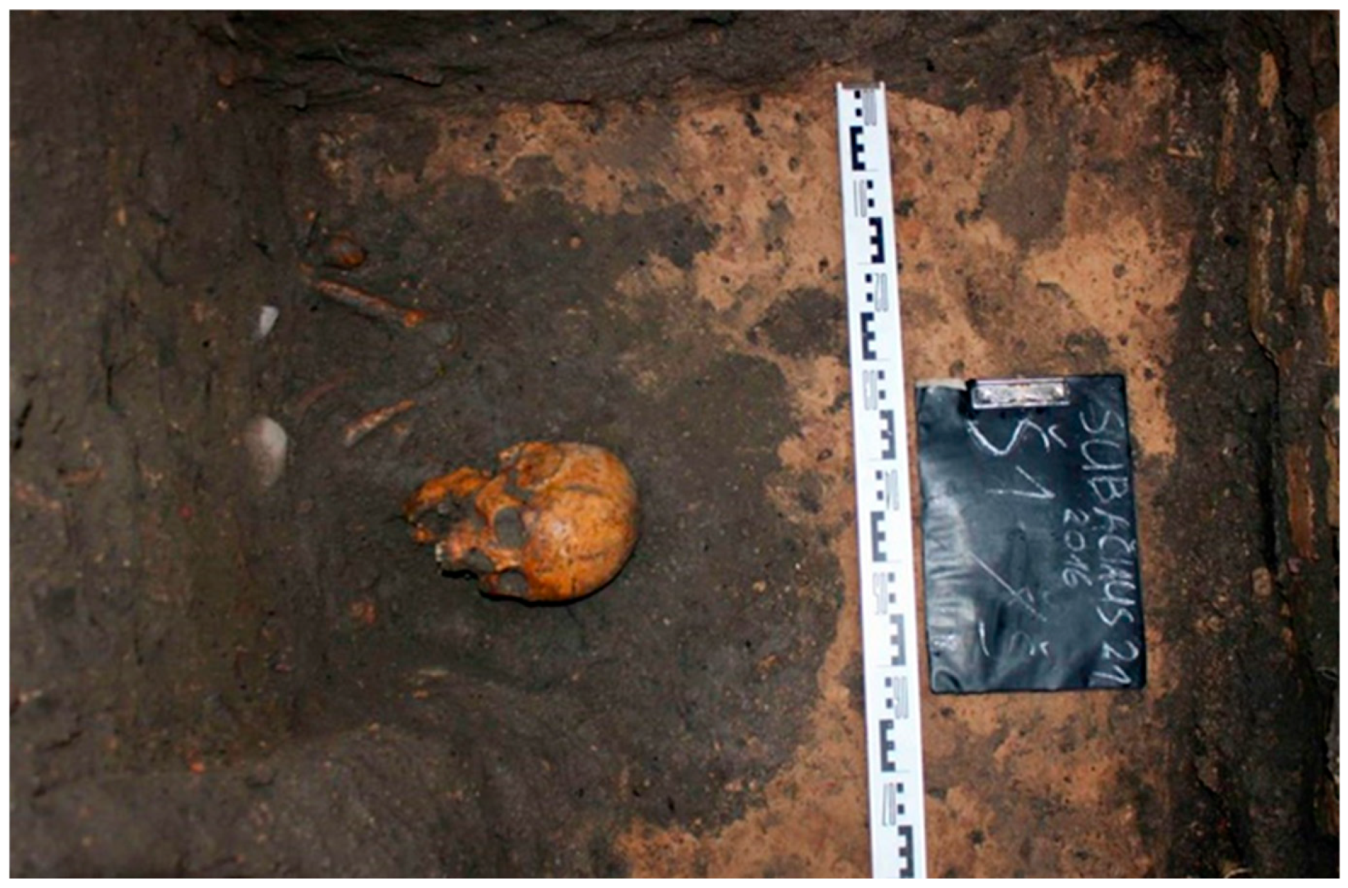 Histories 05 00017 g012