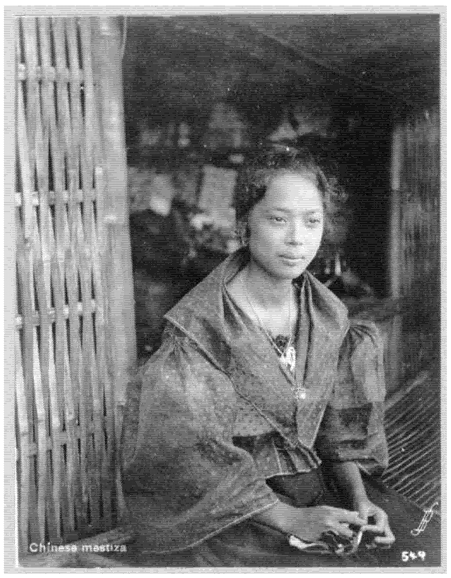 Histories 05 00023 g006