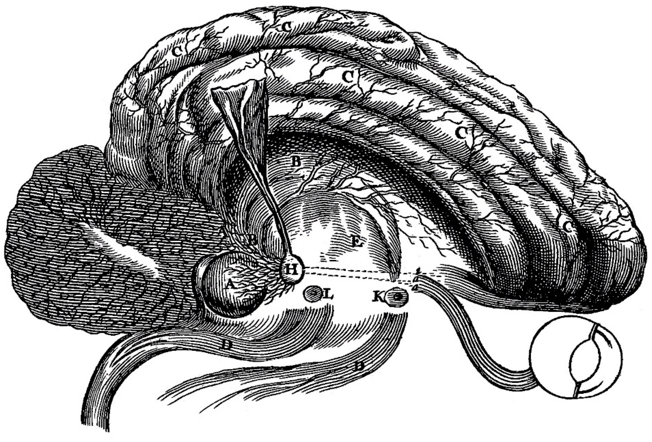 Histories 05 00024 g003