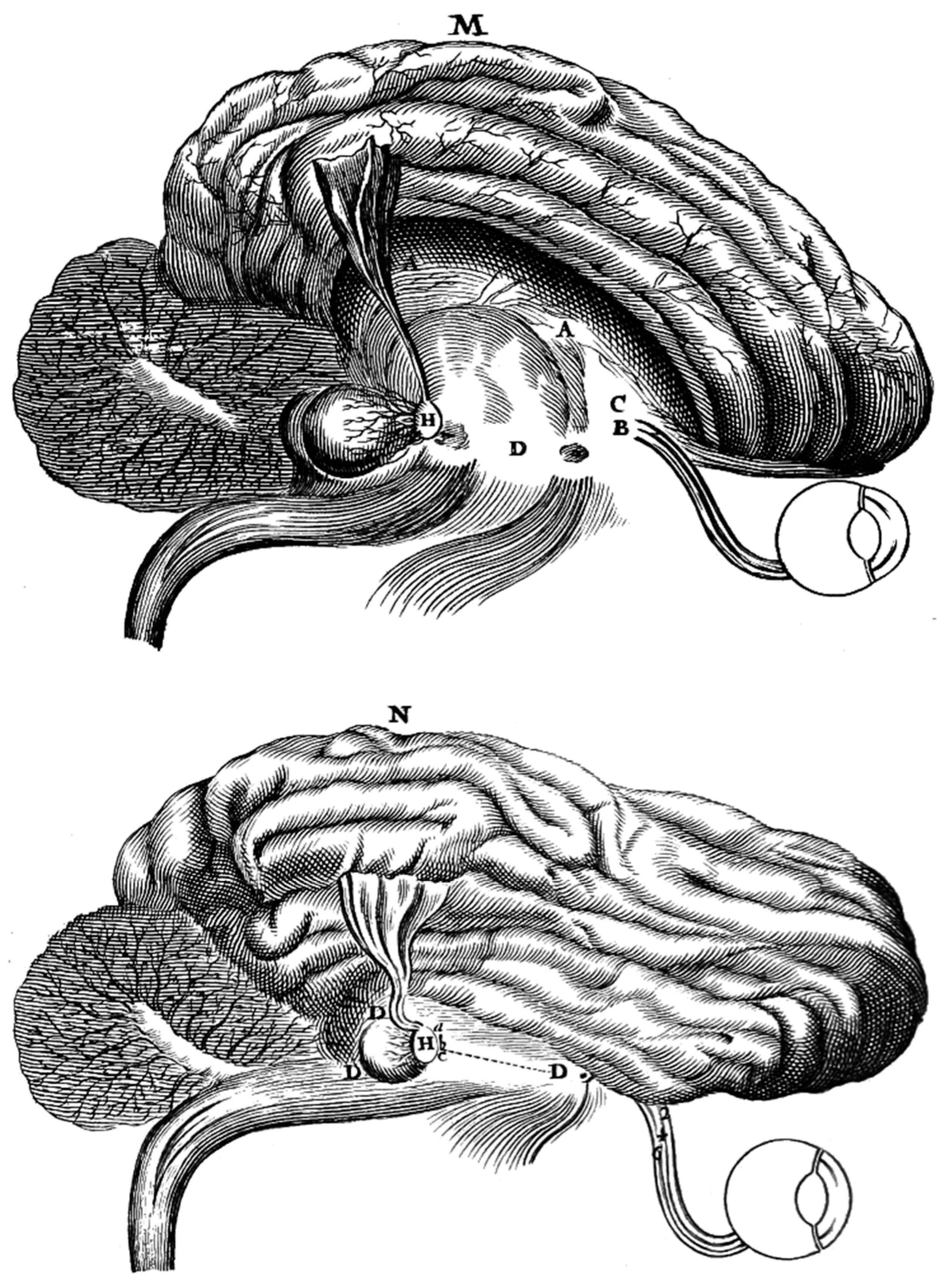 Histories 05 00024 g006