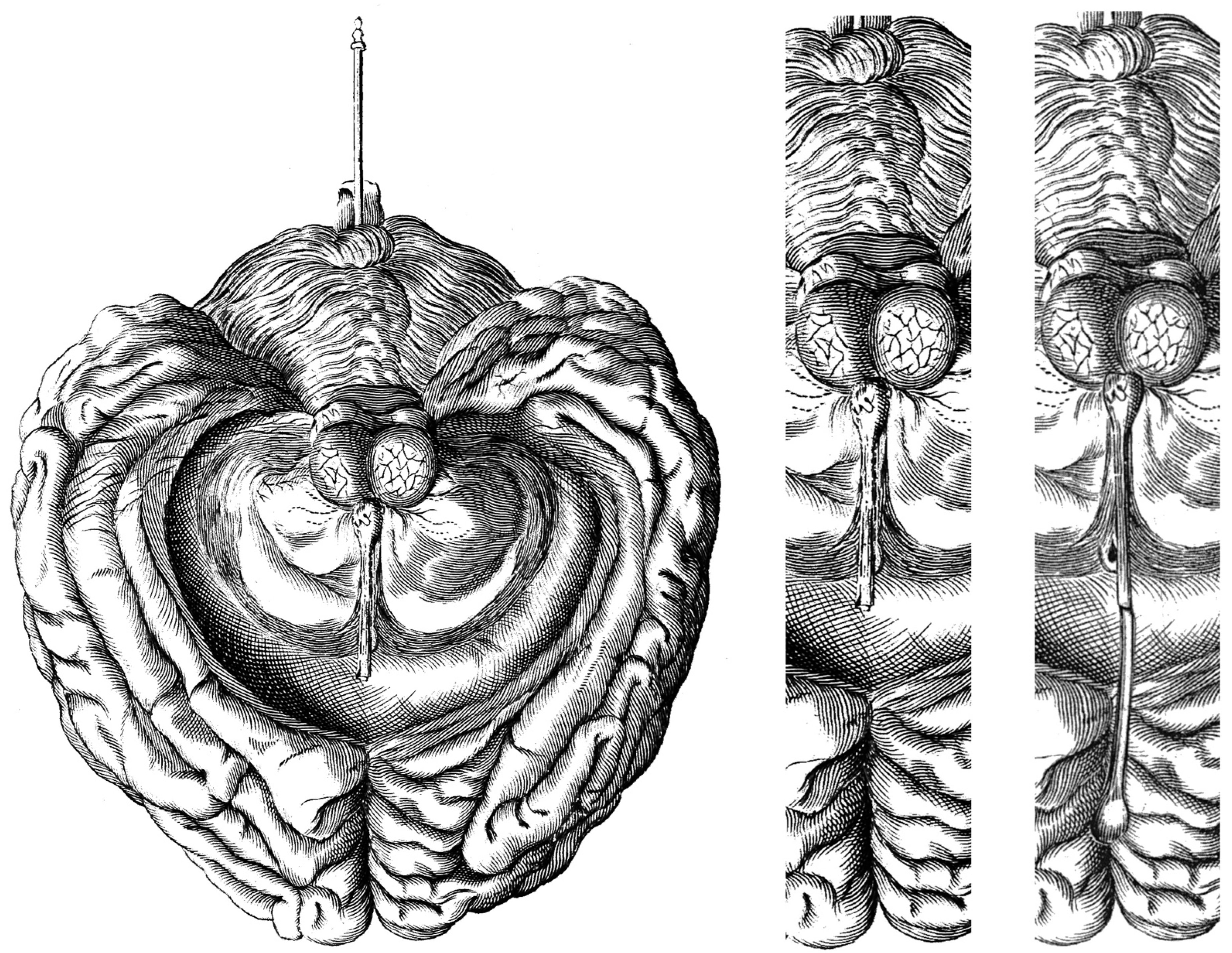 Histories 05 00024 g009