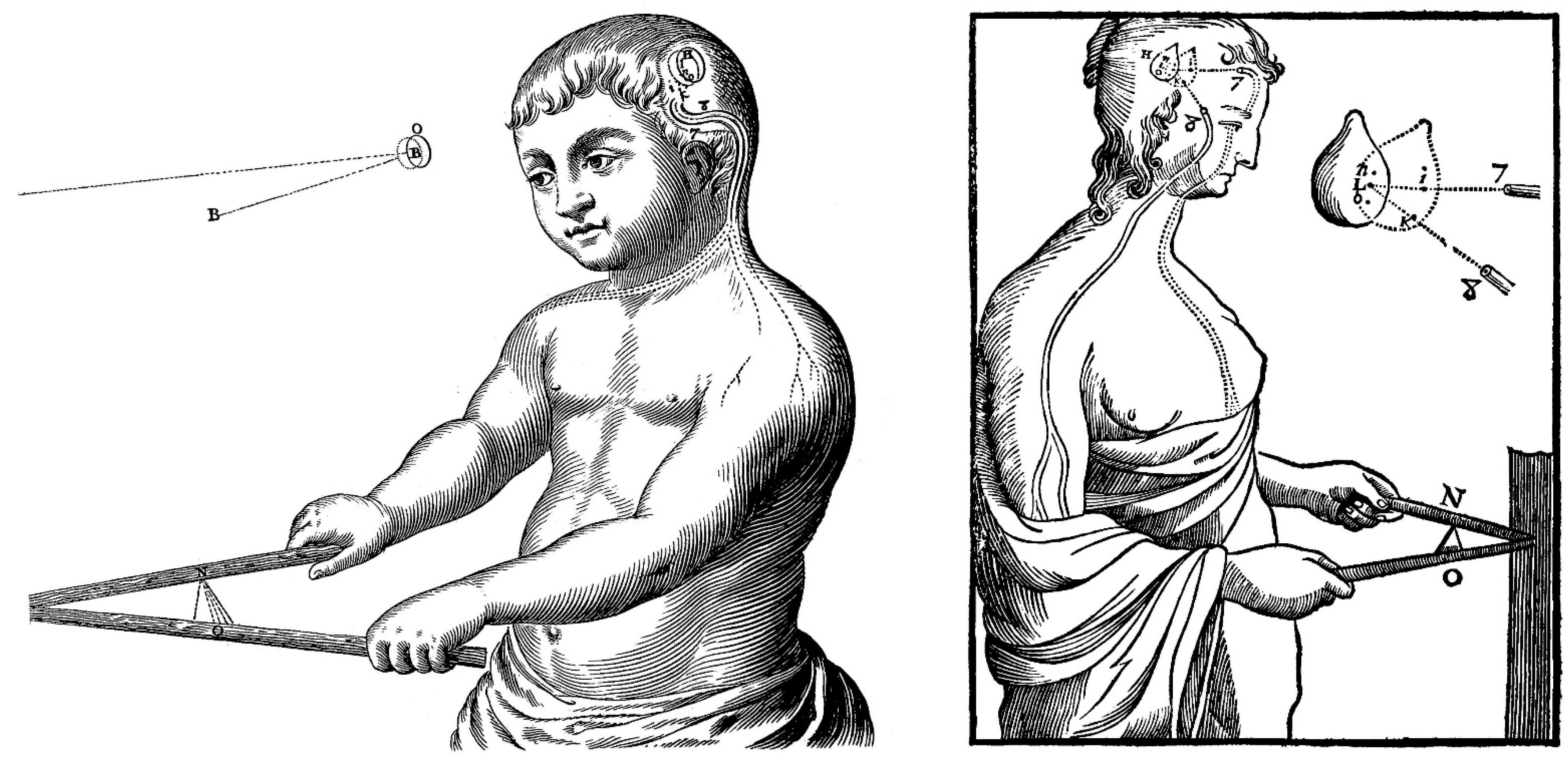 Histories 05 00024 g010