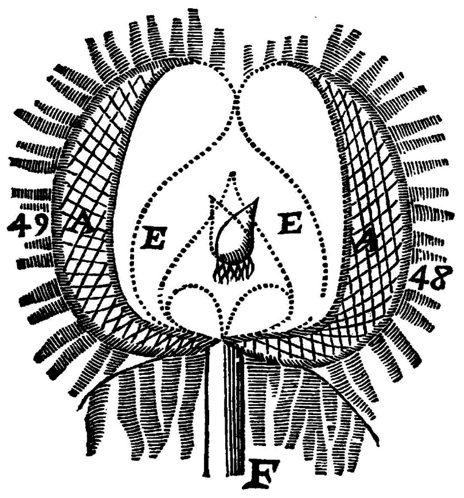 Histories 05 00024 g011