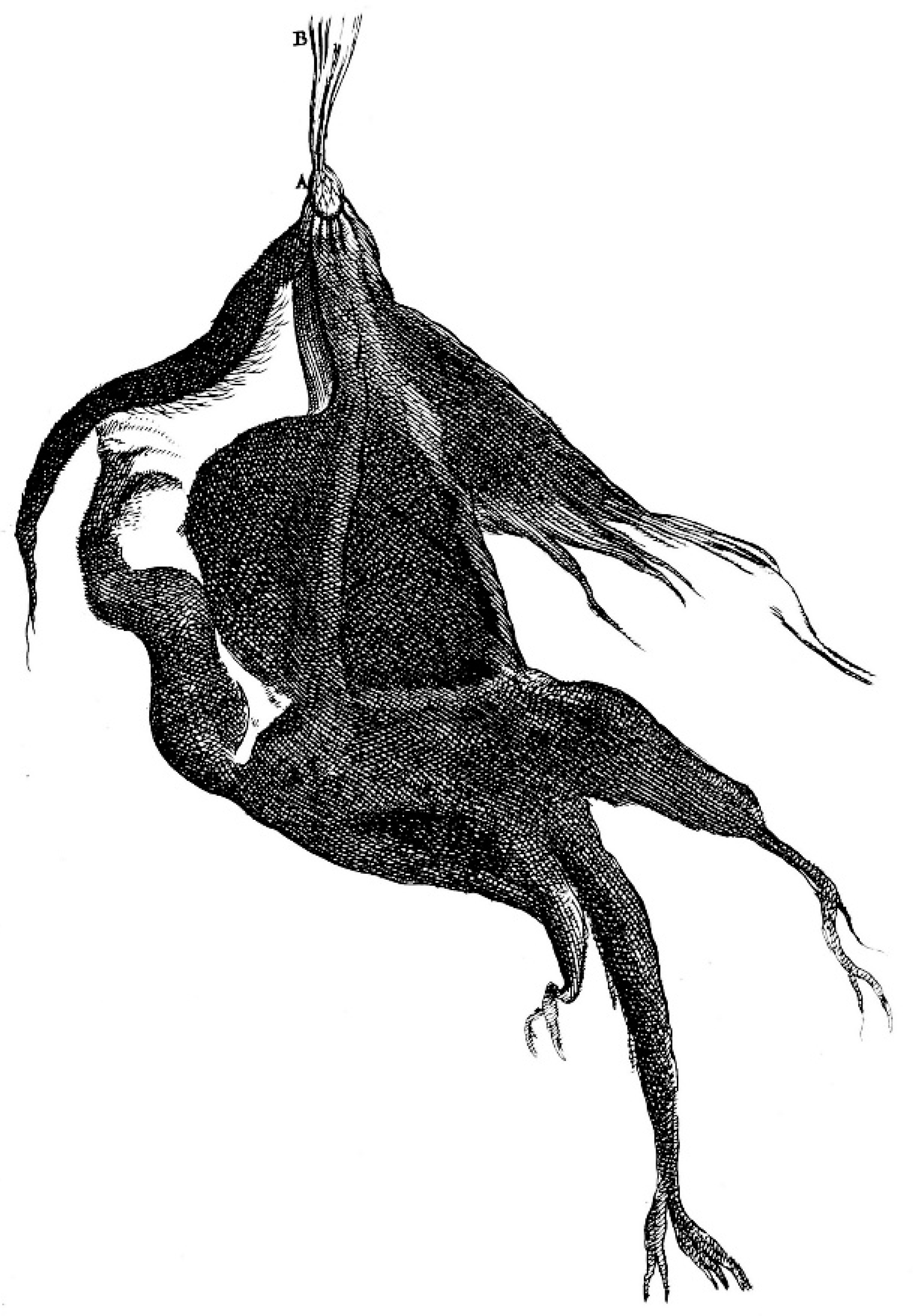 Histories 05 00024 g012