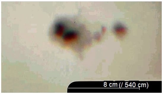 Histories 05 00048 g013