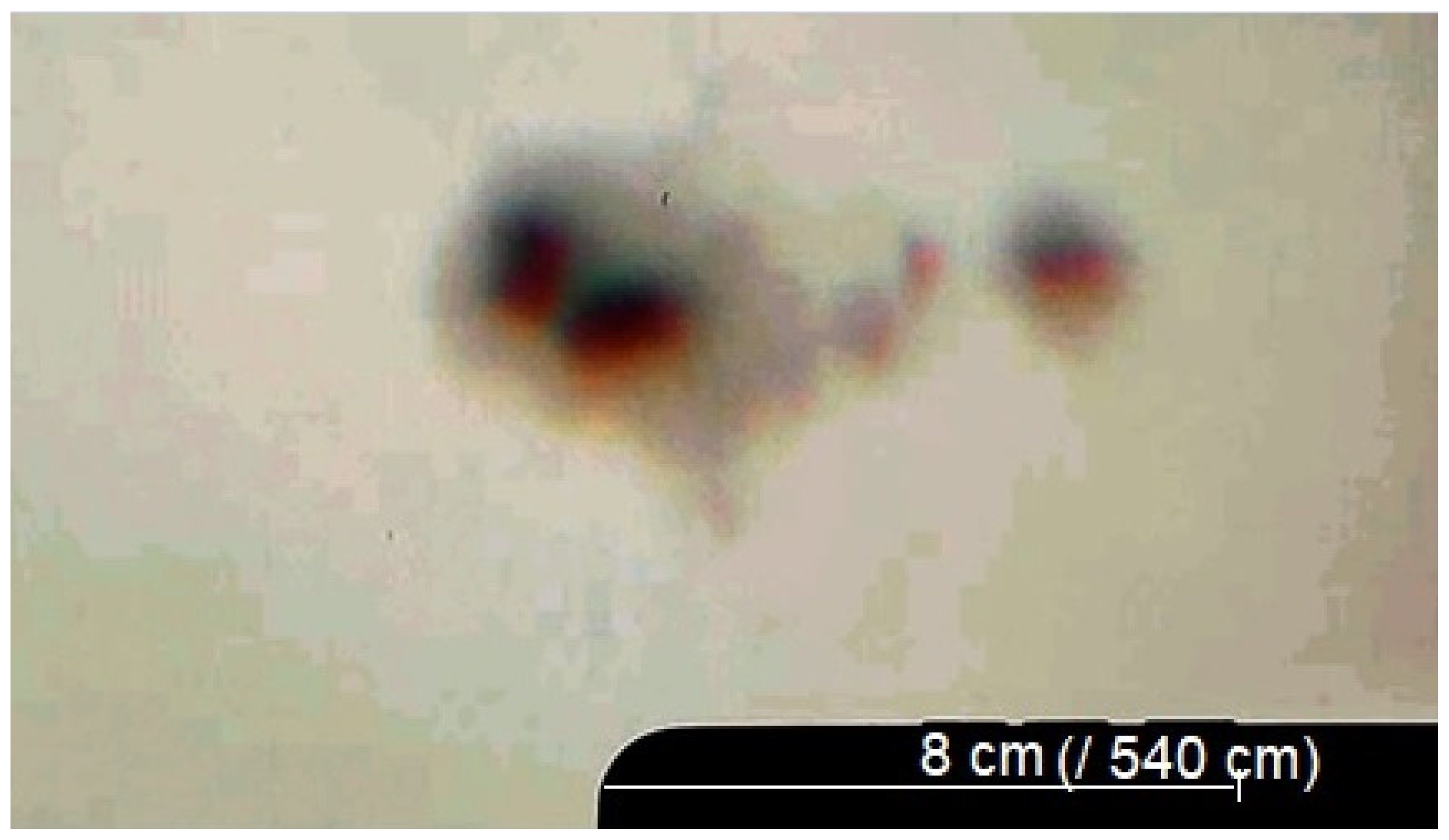 Histories 05 00048 g013