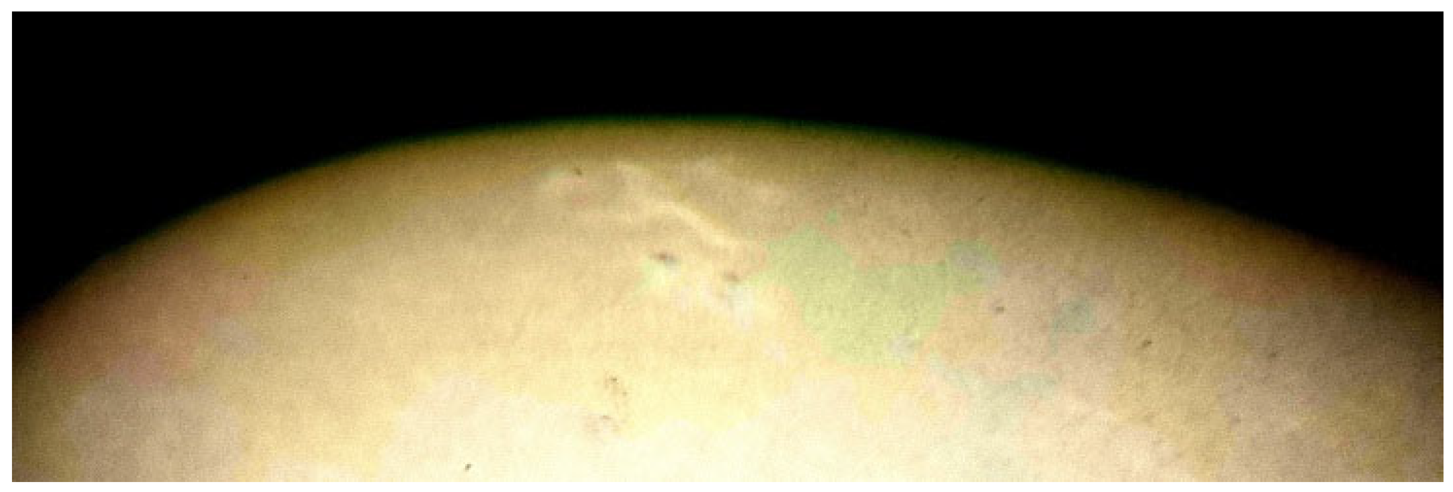 Histories 05 00048 g014