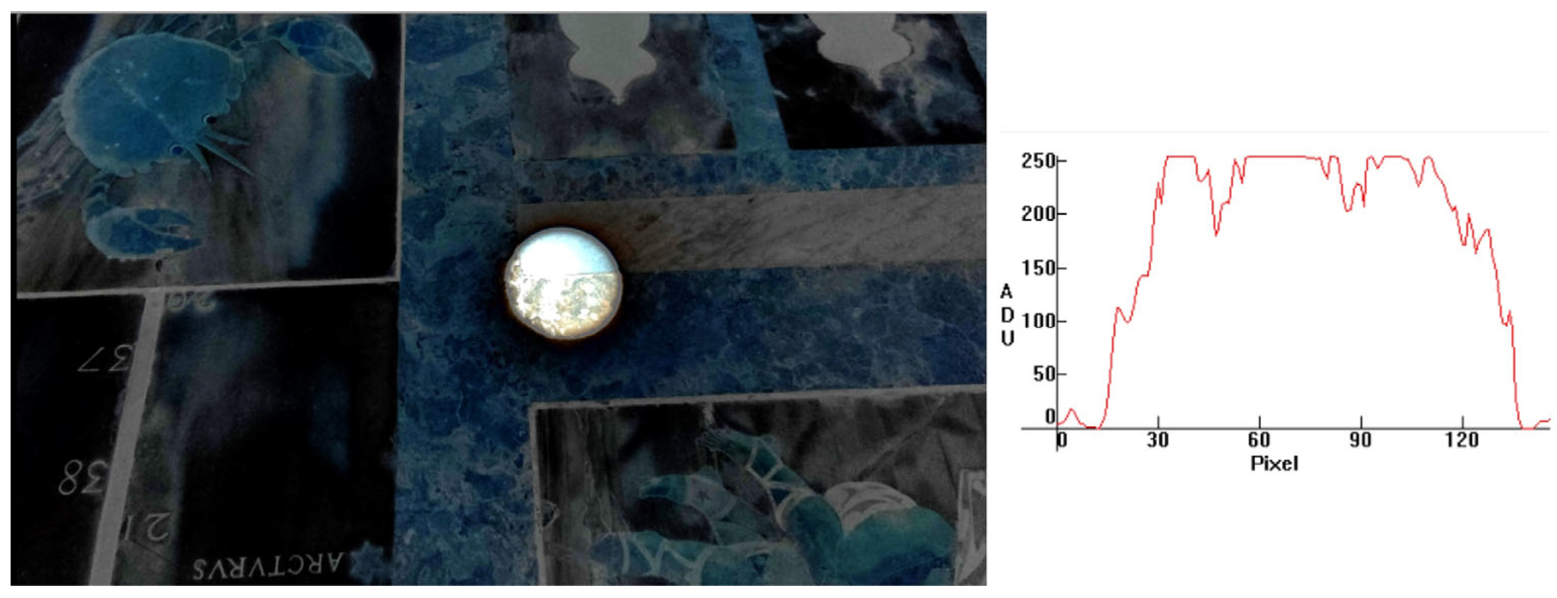 Histories 05 00048 g020