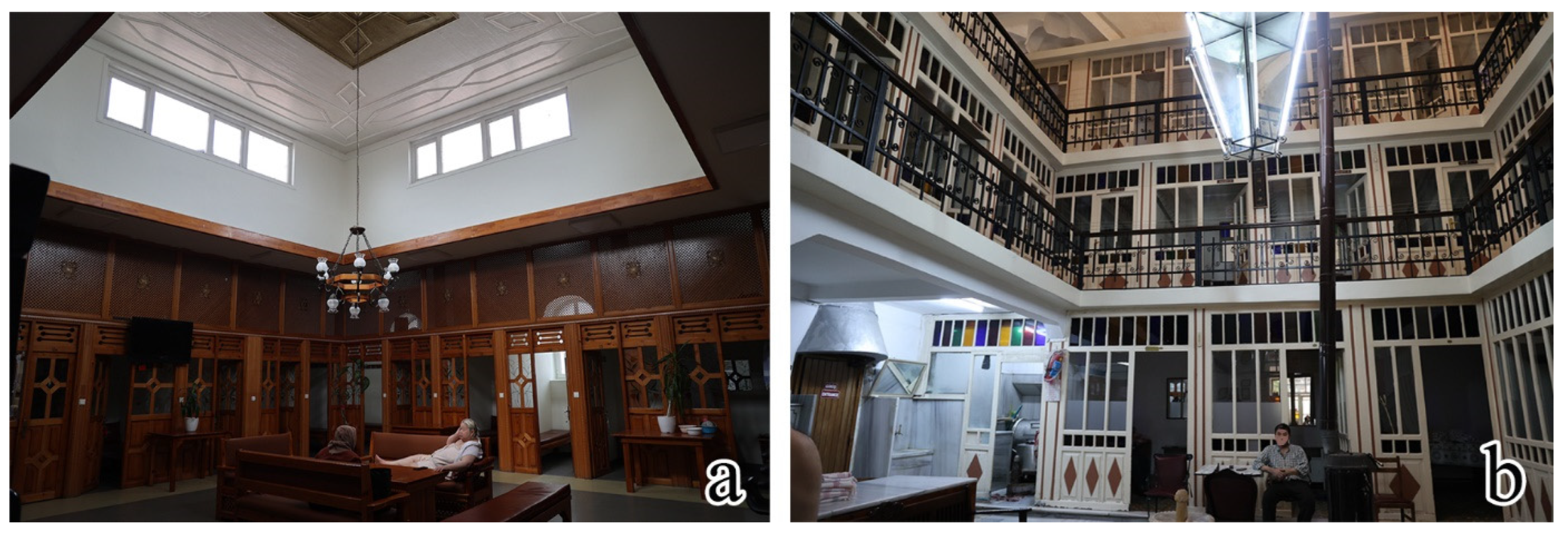 Histories 06 00005 g009