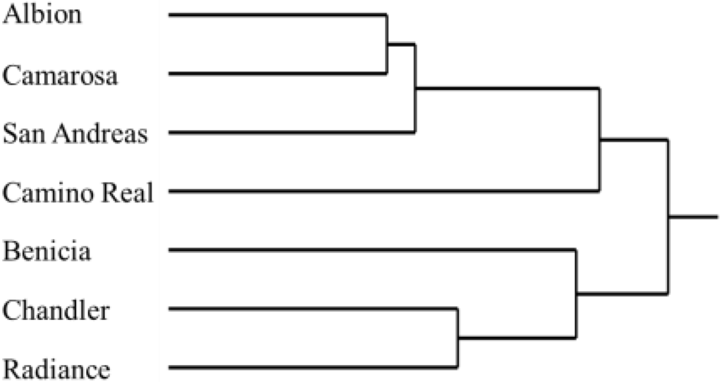 Horticulturae 01 00027 g002 1024