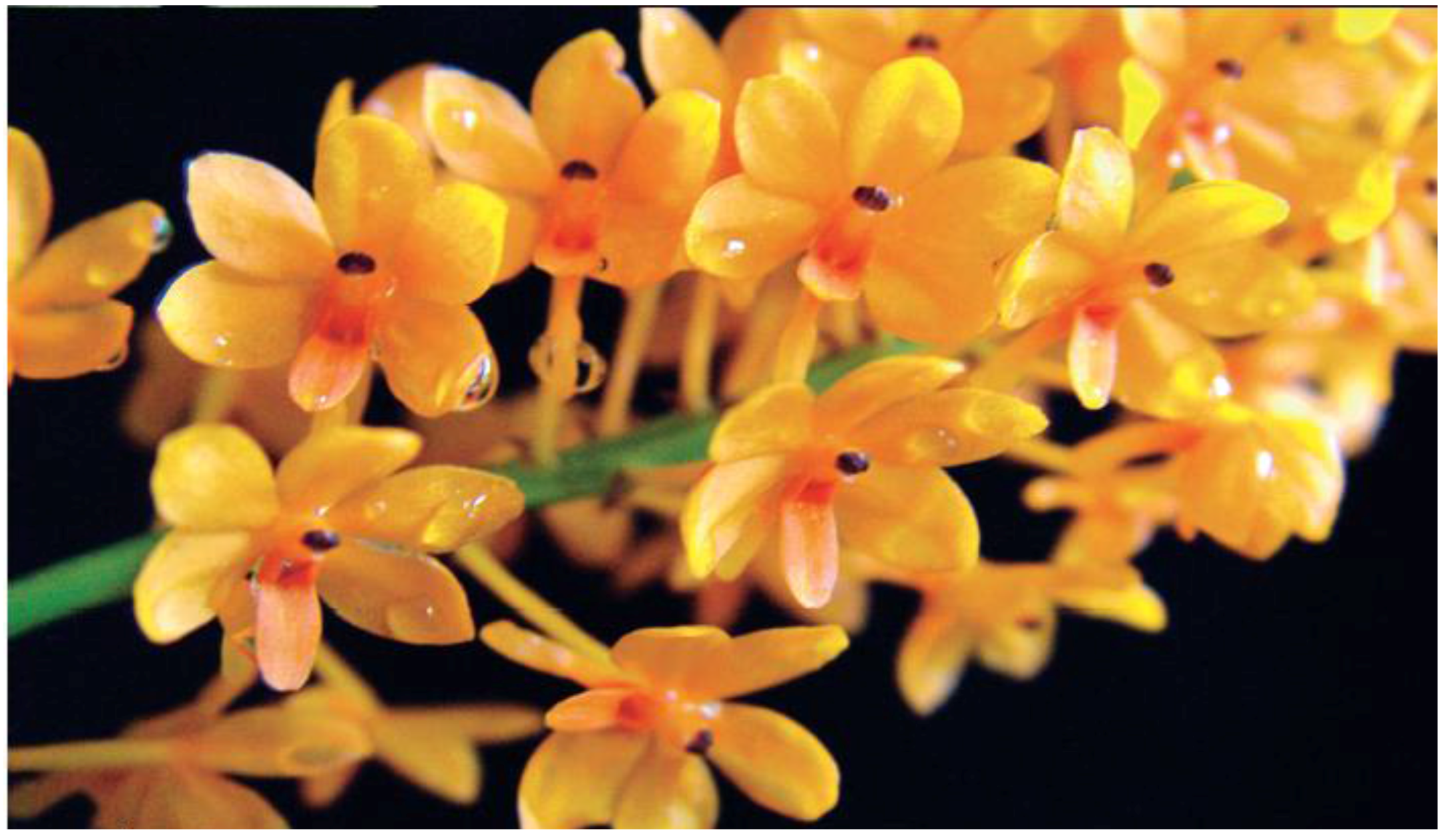 Horticulturae 02 00009 g009