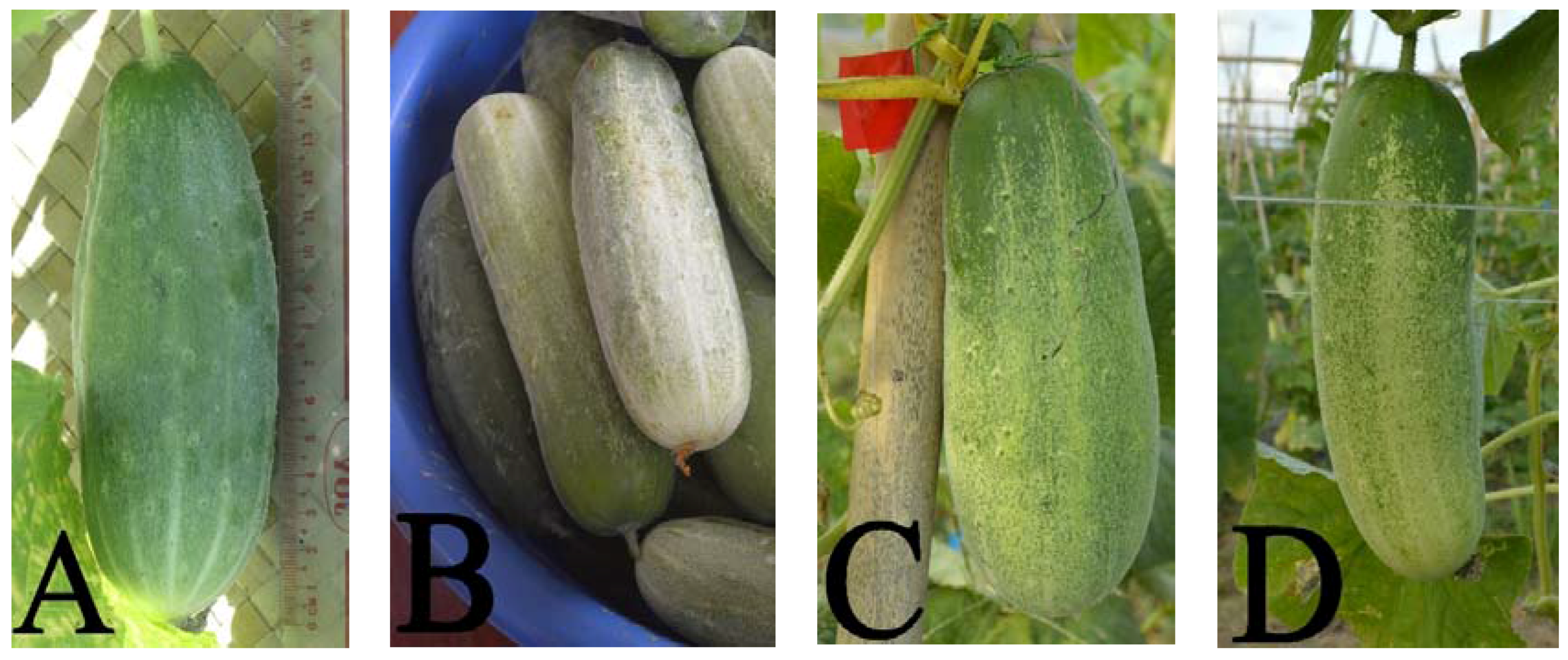 Horticulturae 03 00004 g002