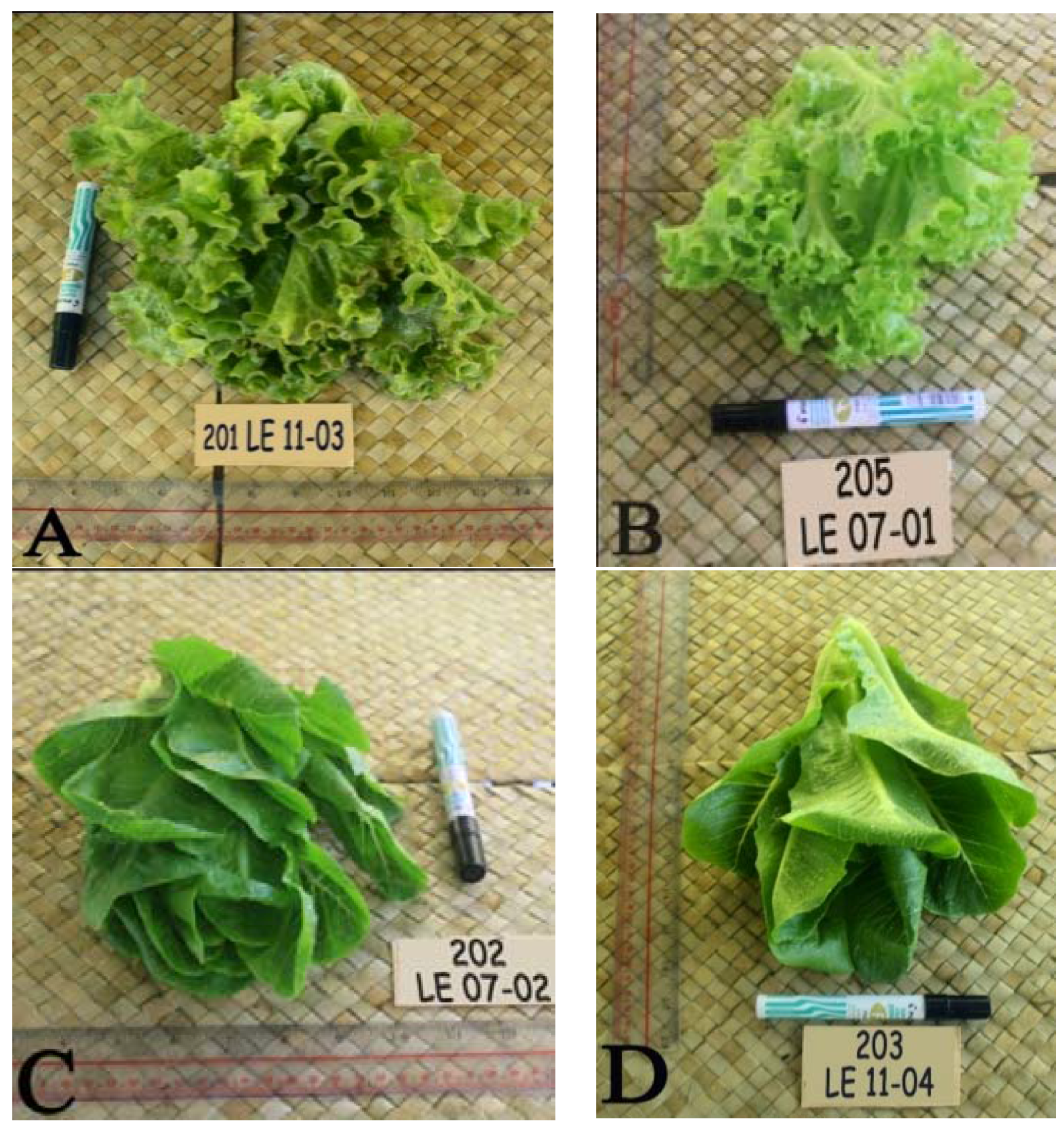 Horticulturae 03 00004 g003