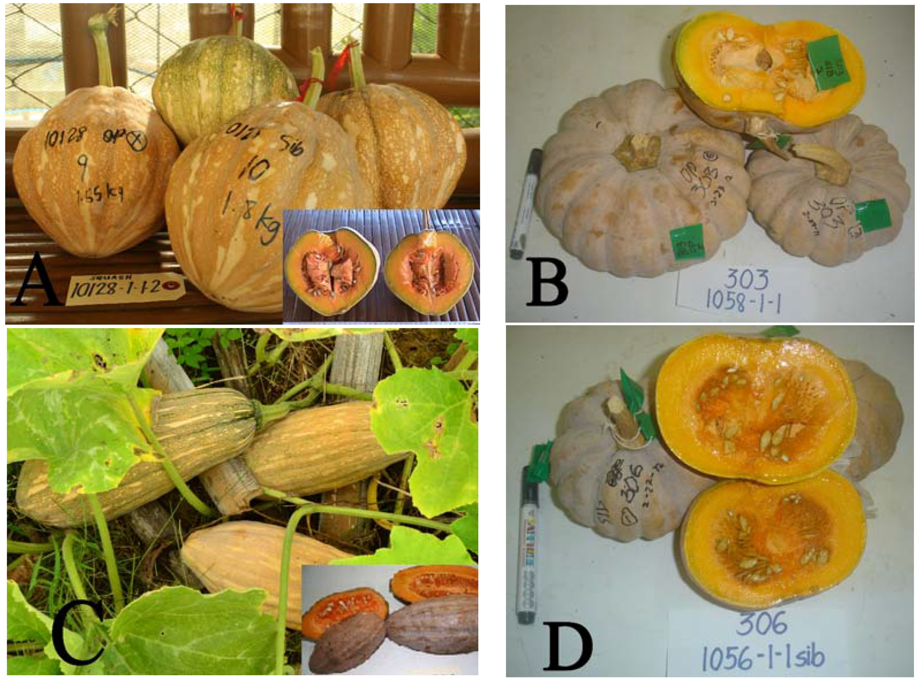 Horticulturae 03 00004 g004