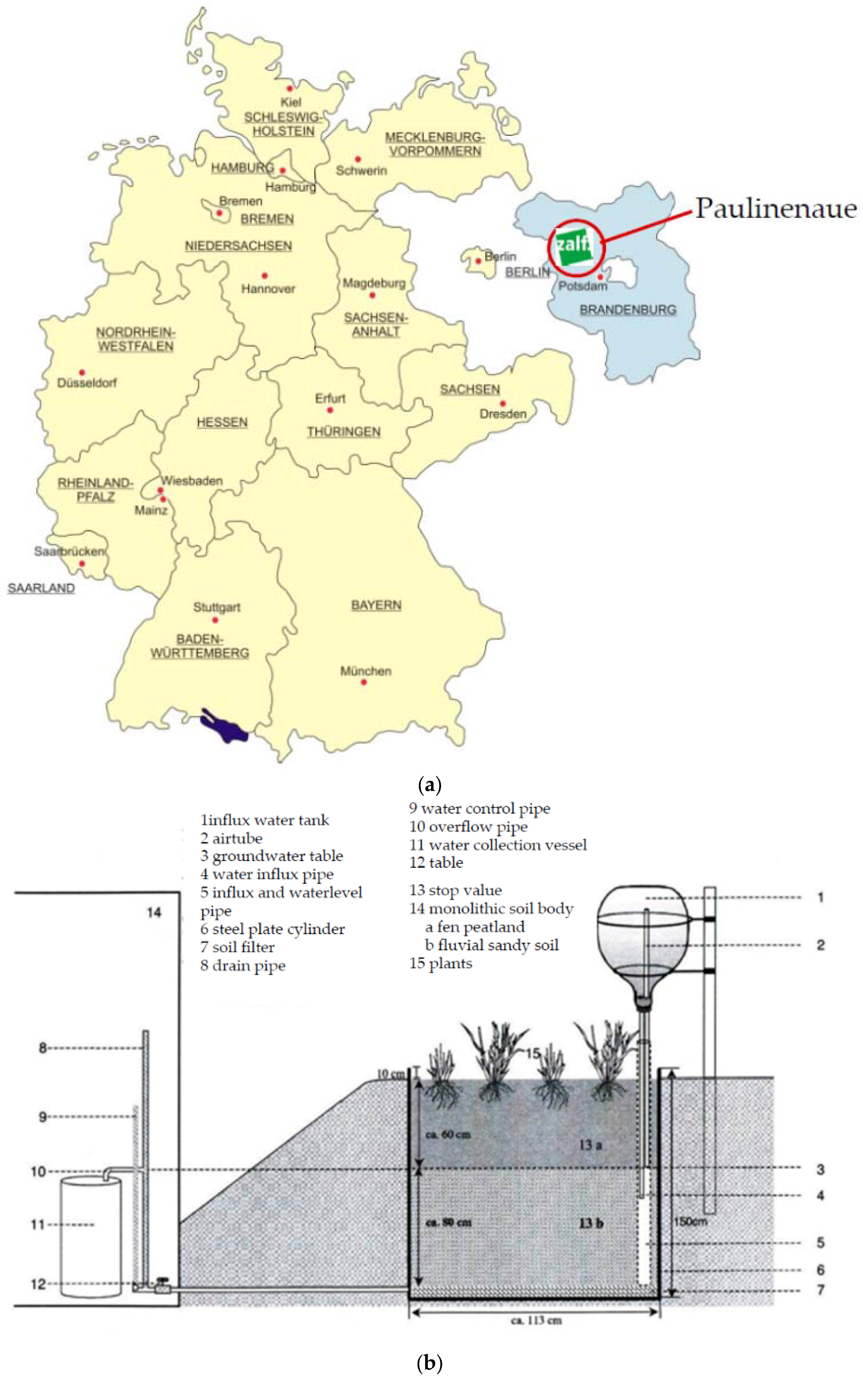 Horticulturae 03 00008 g001