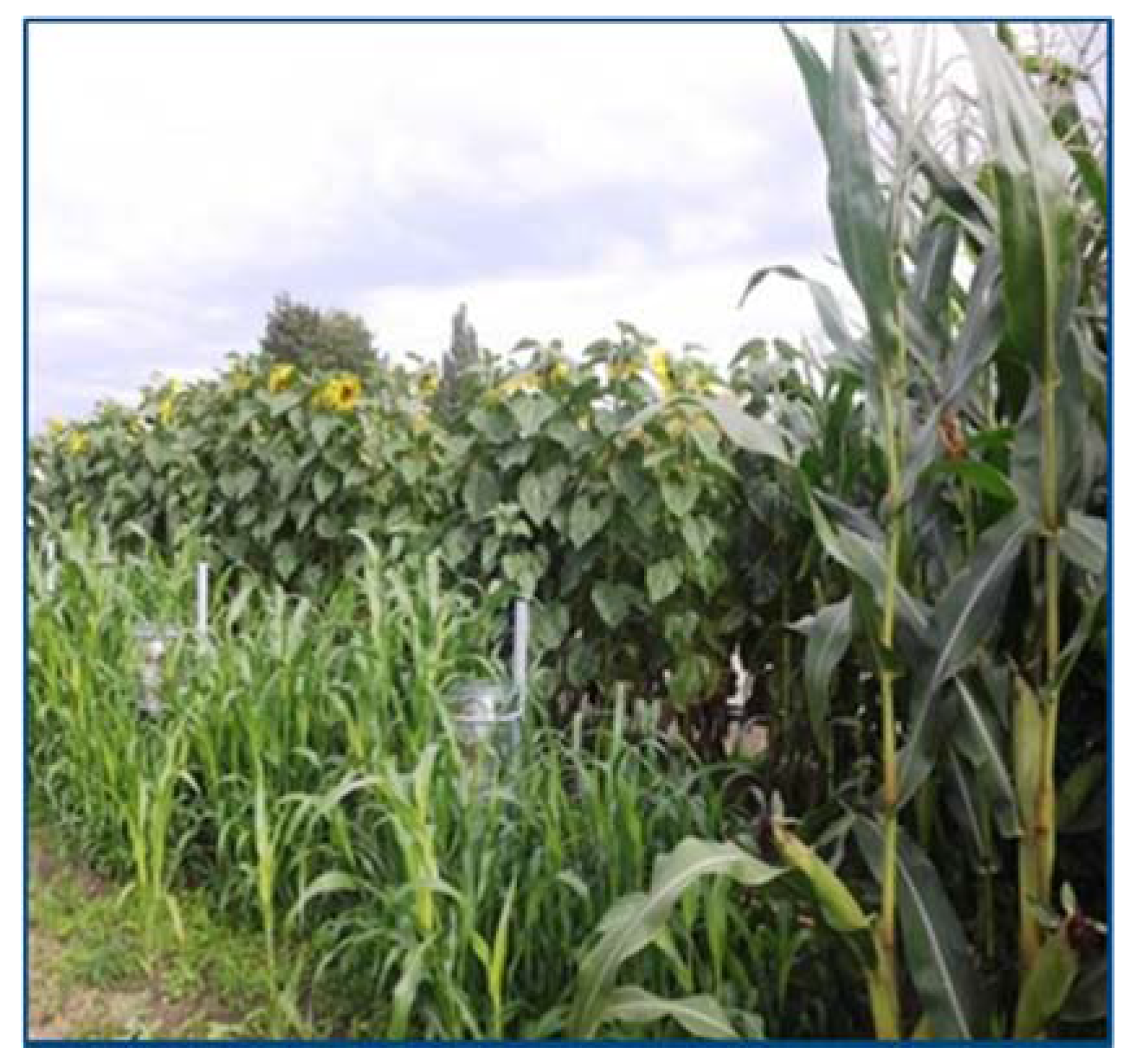 Horticulturae 03 00008 g002