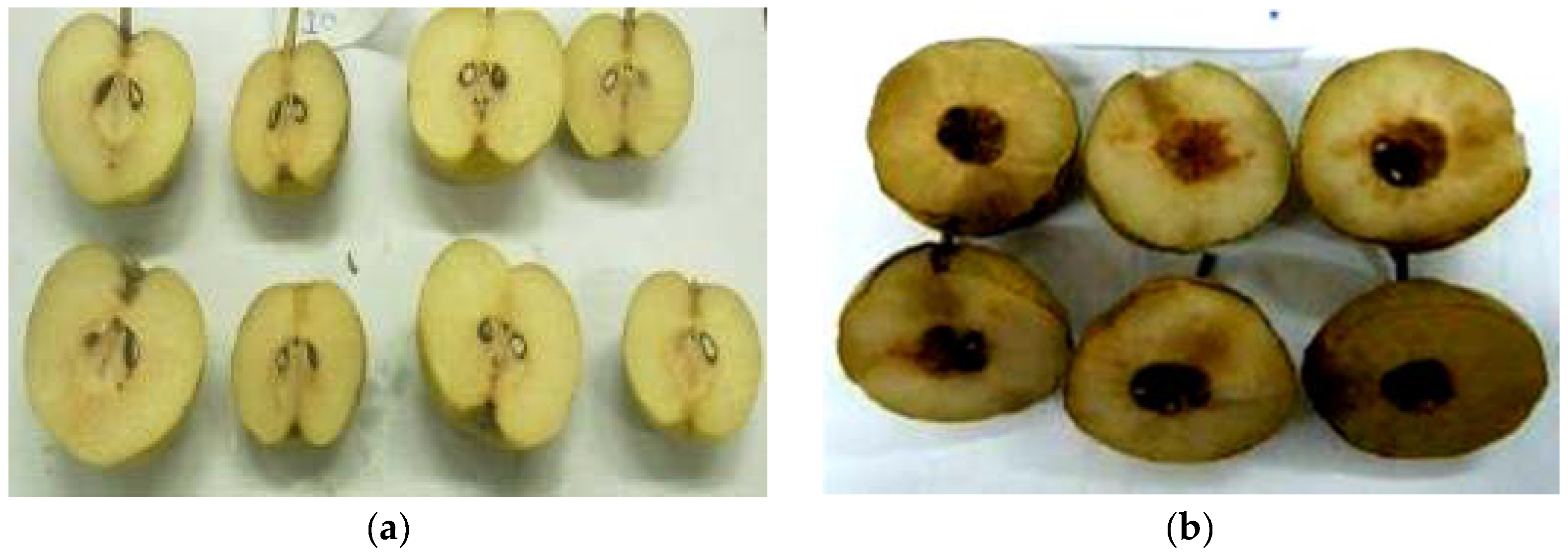 Horticulturae 03 00015 g007