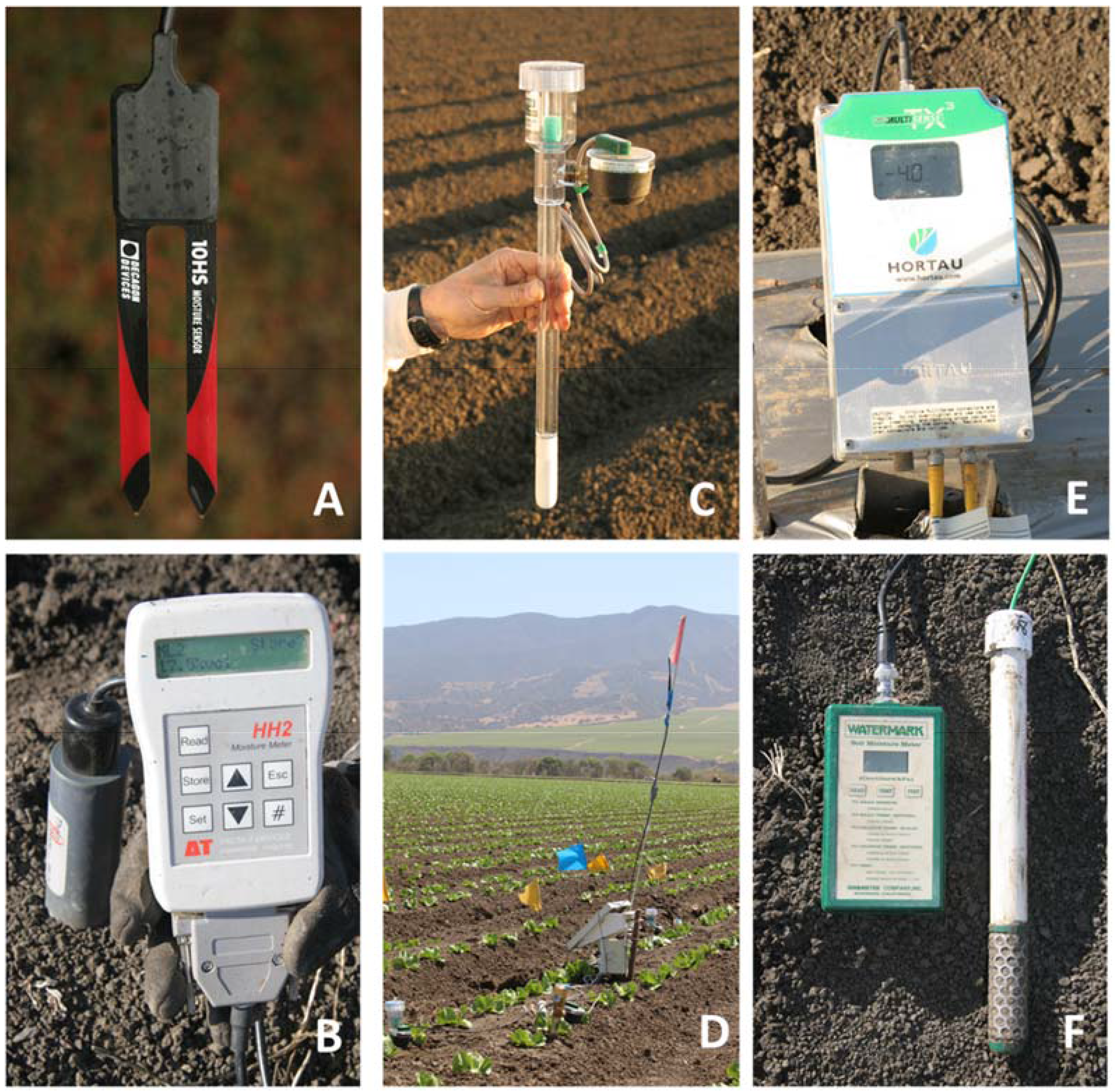 Horticulturae 03 00028 g001