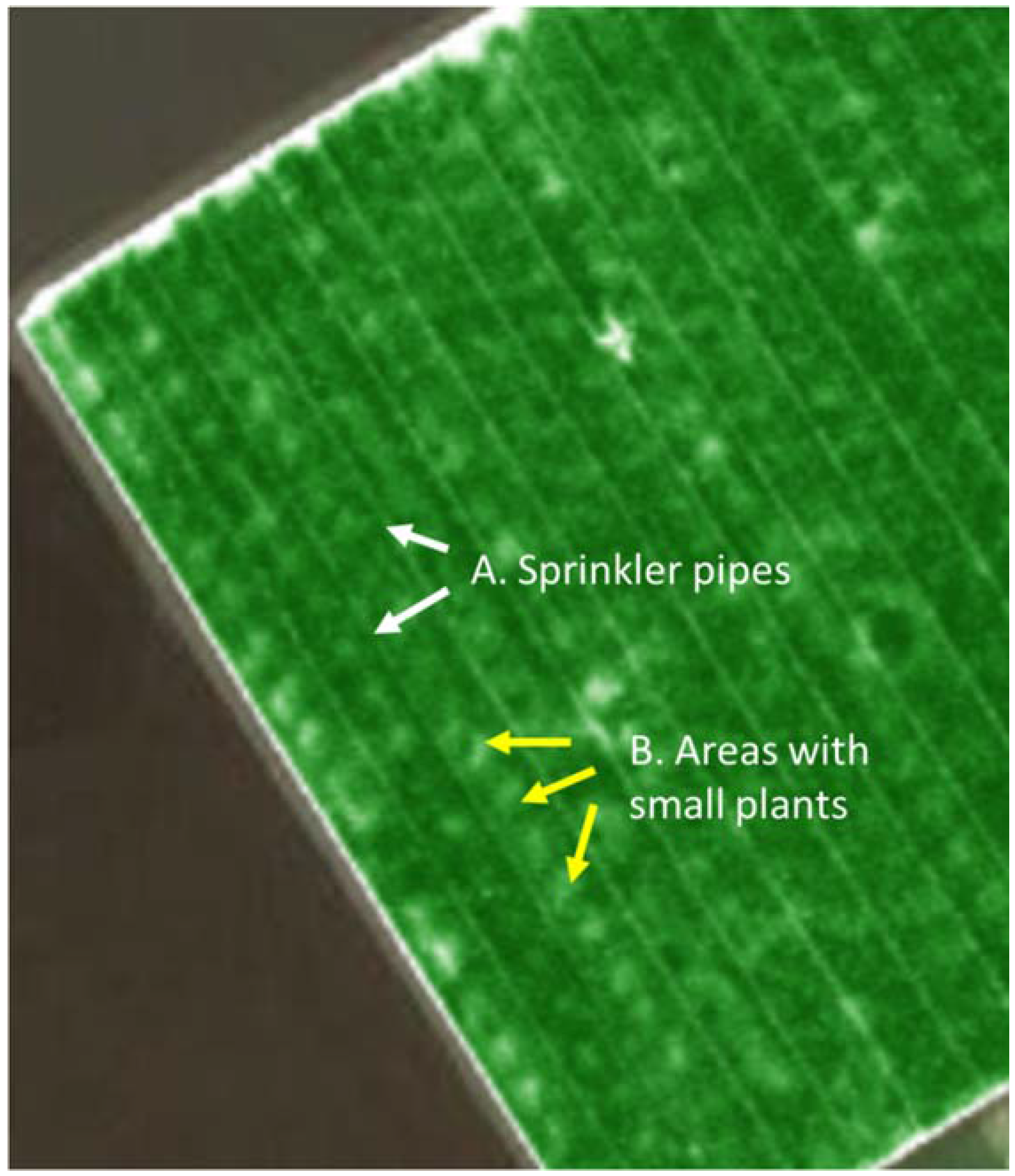 Horticulturae 03 00028 g004