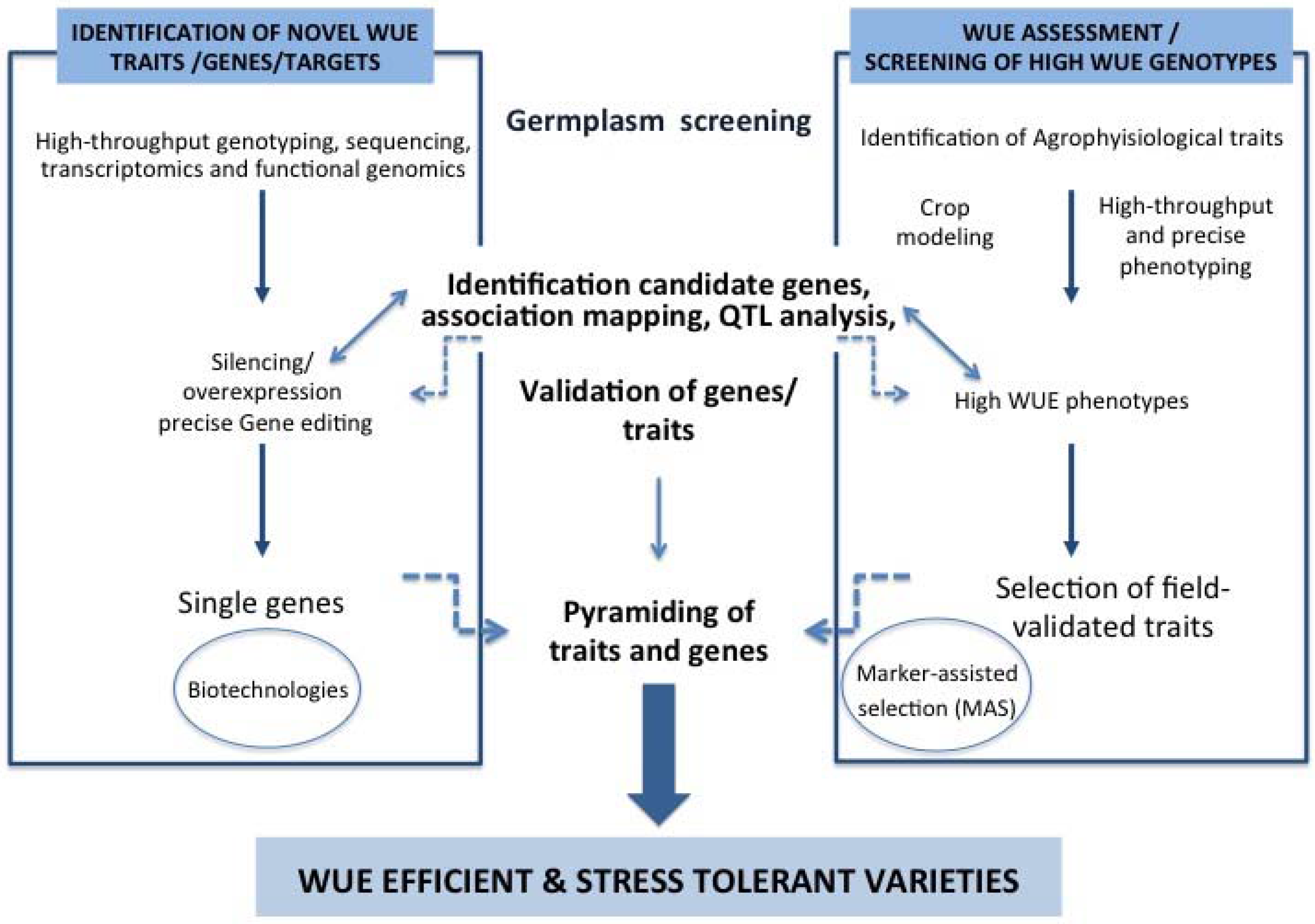 Horticulturae 03 00031 g001