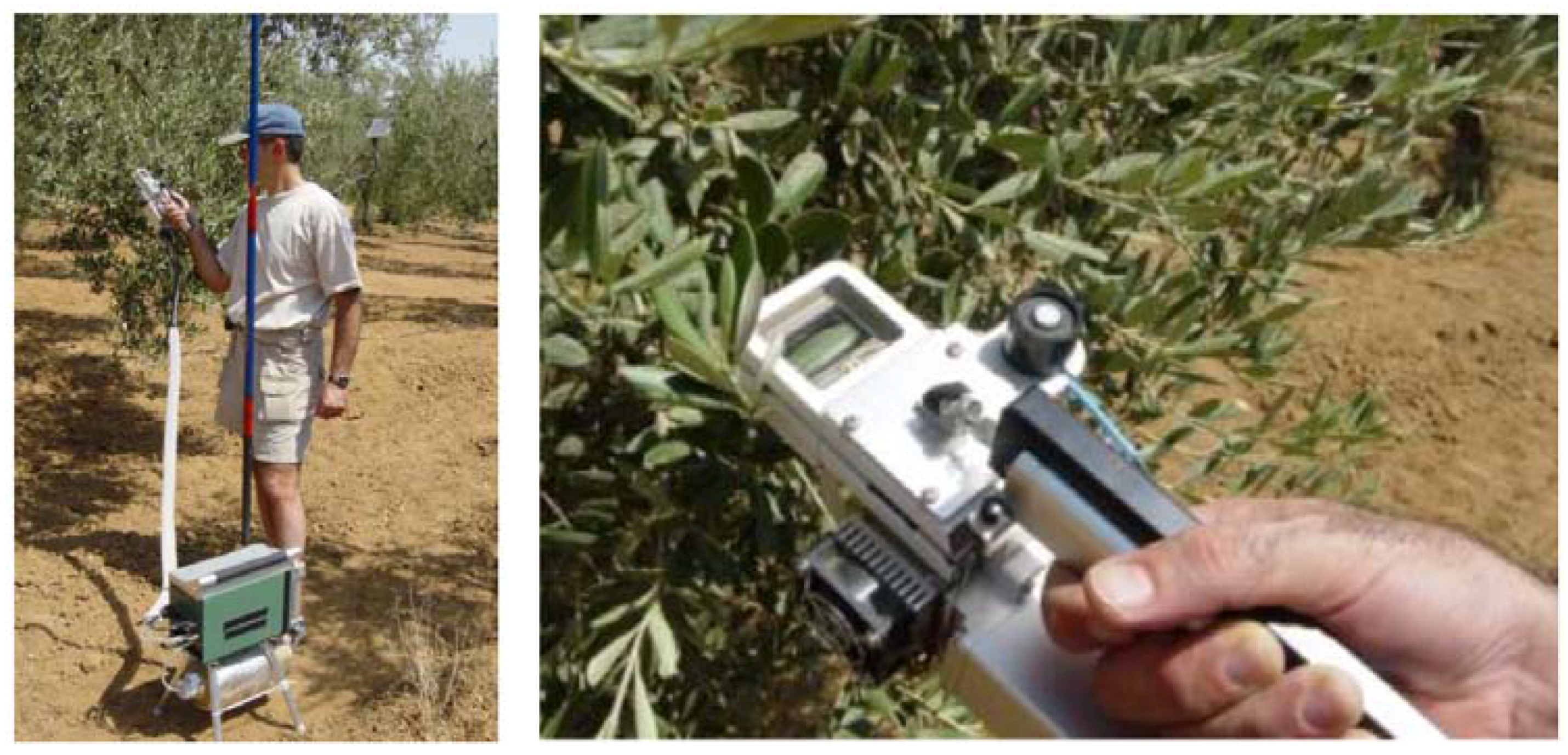 Horticulturae 03 00035 g002