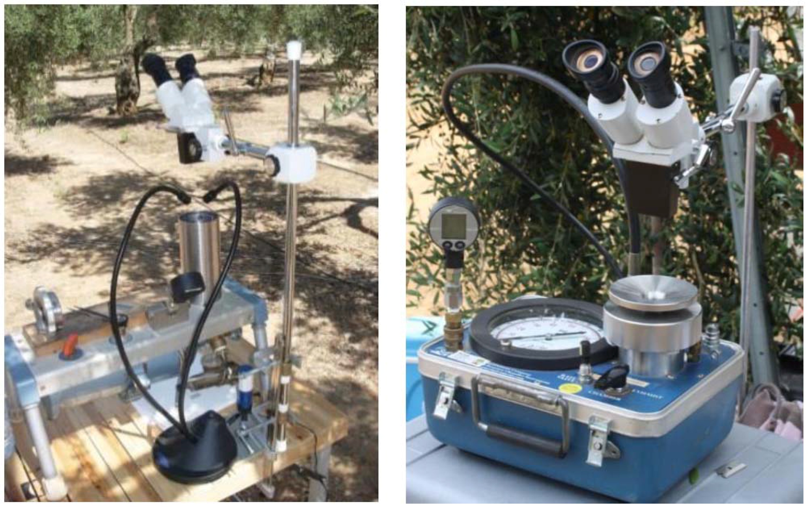 Horticulturae 03 00035 g003