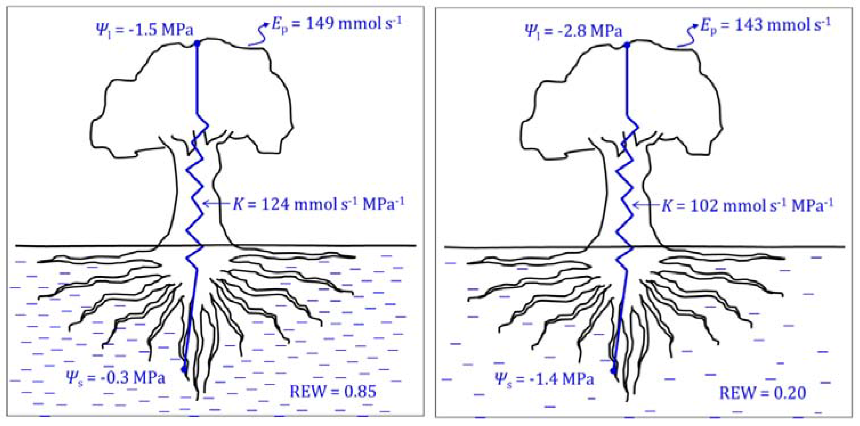 Horticulturae 03 00035 g005