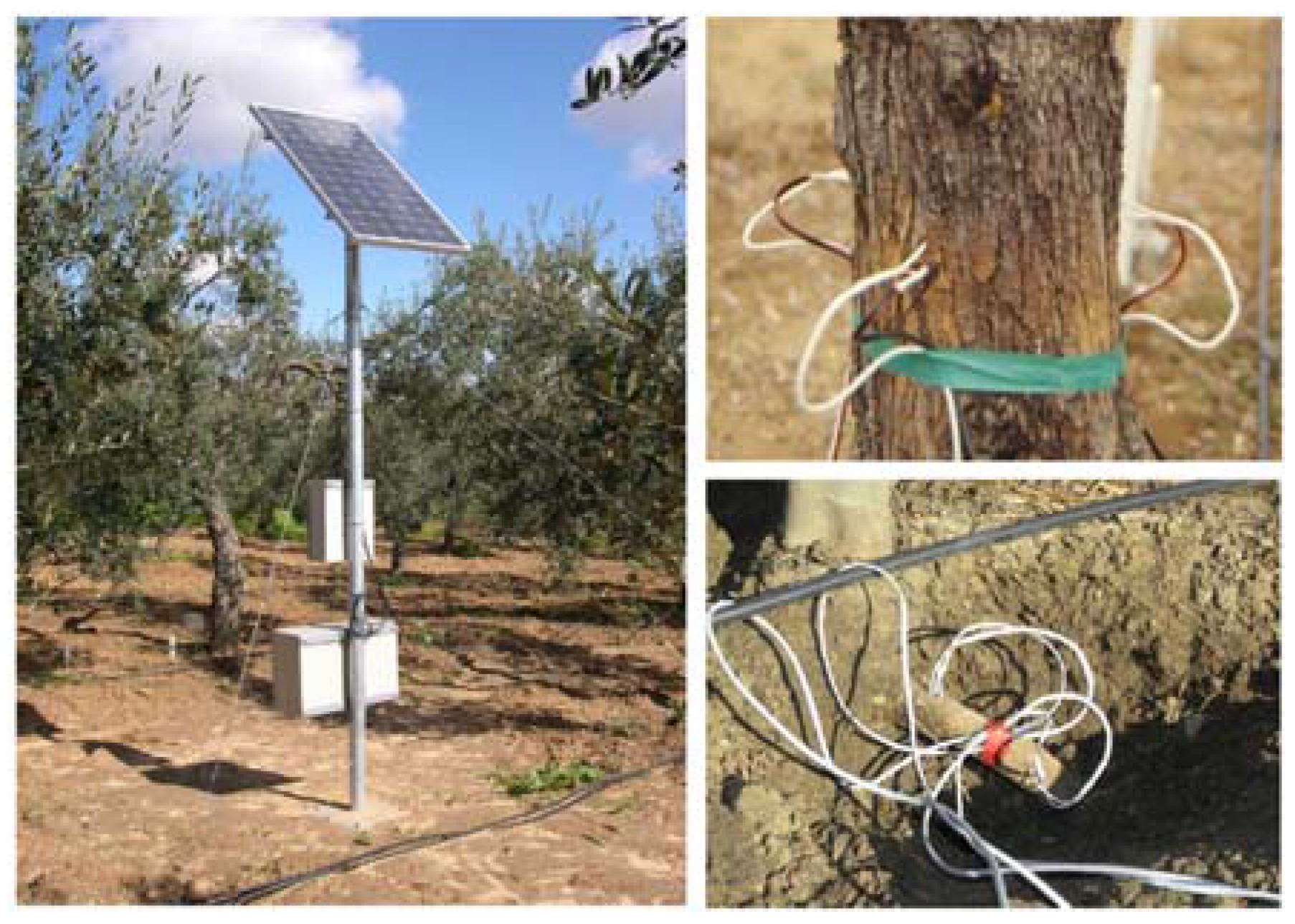 Horticulturae 03 00035 g007