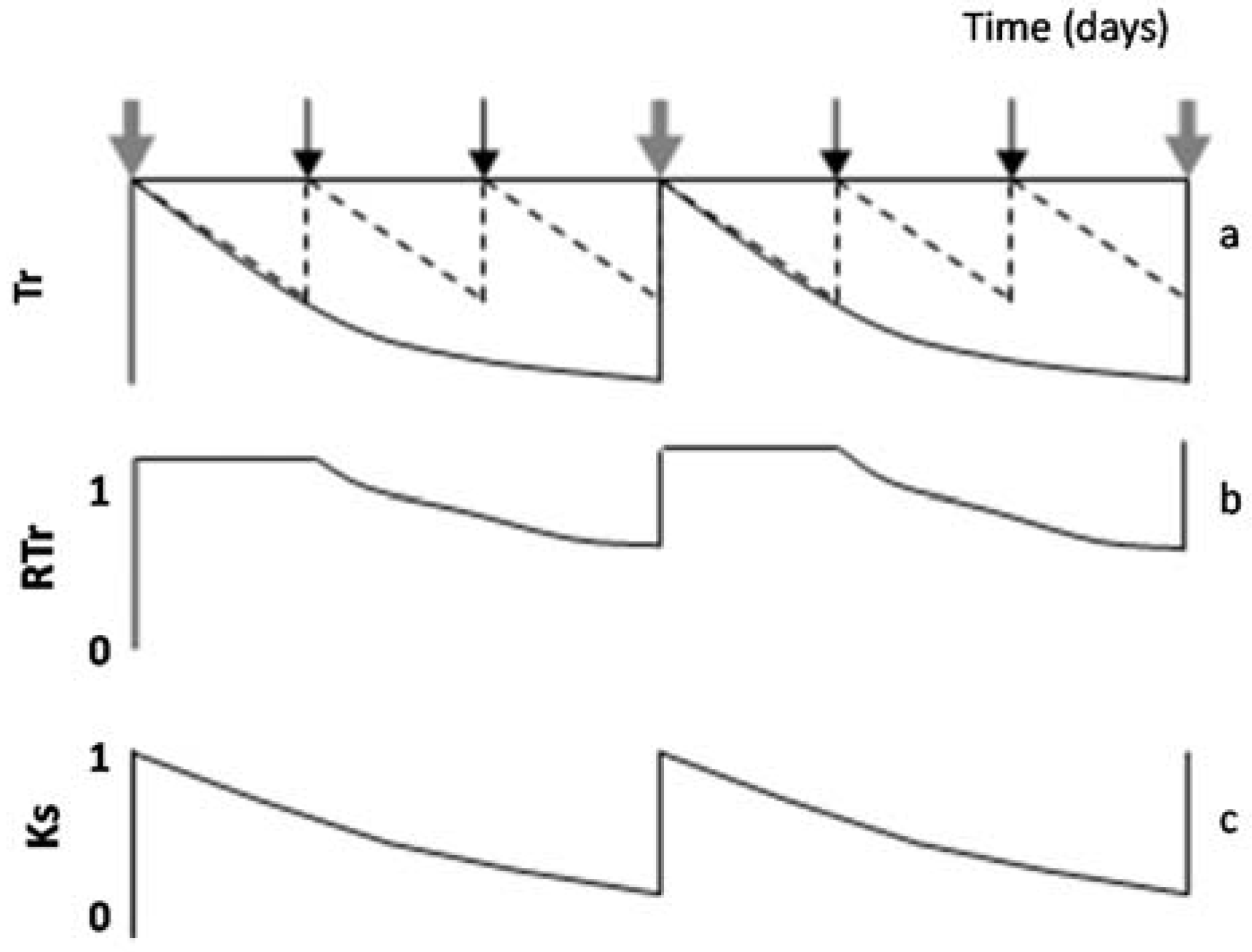 Horticulturae 03 00038 g004