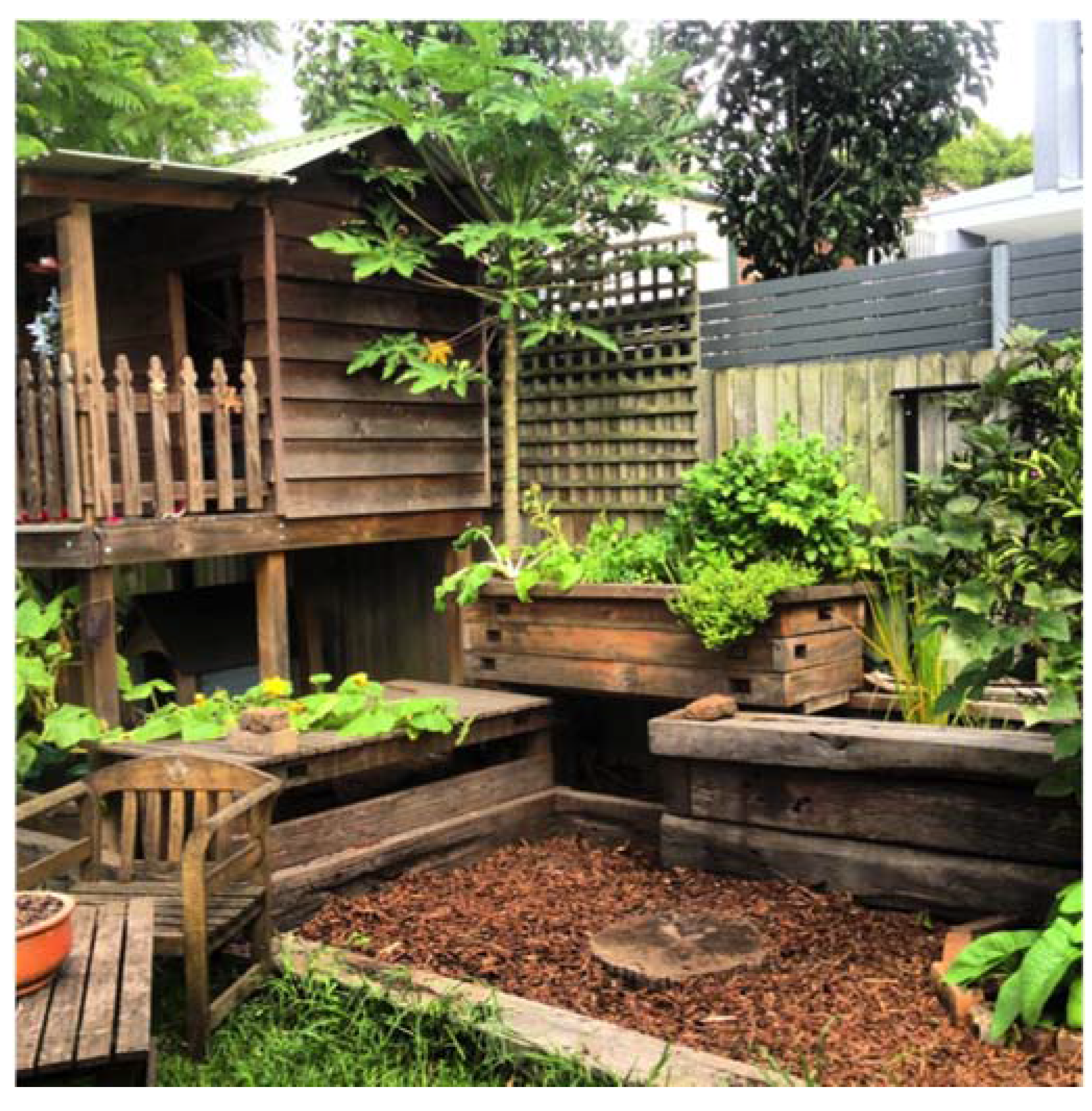 Horticulturae 03 00039 g002