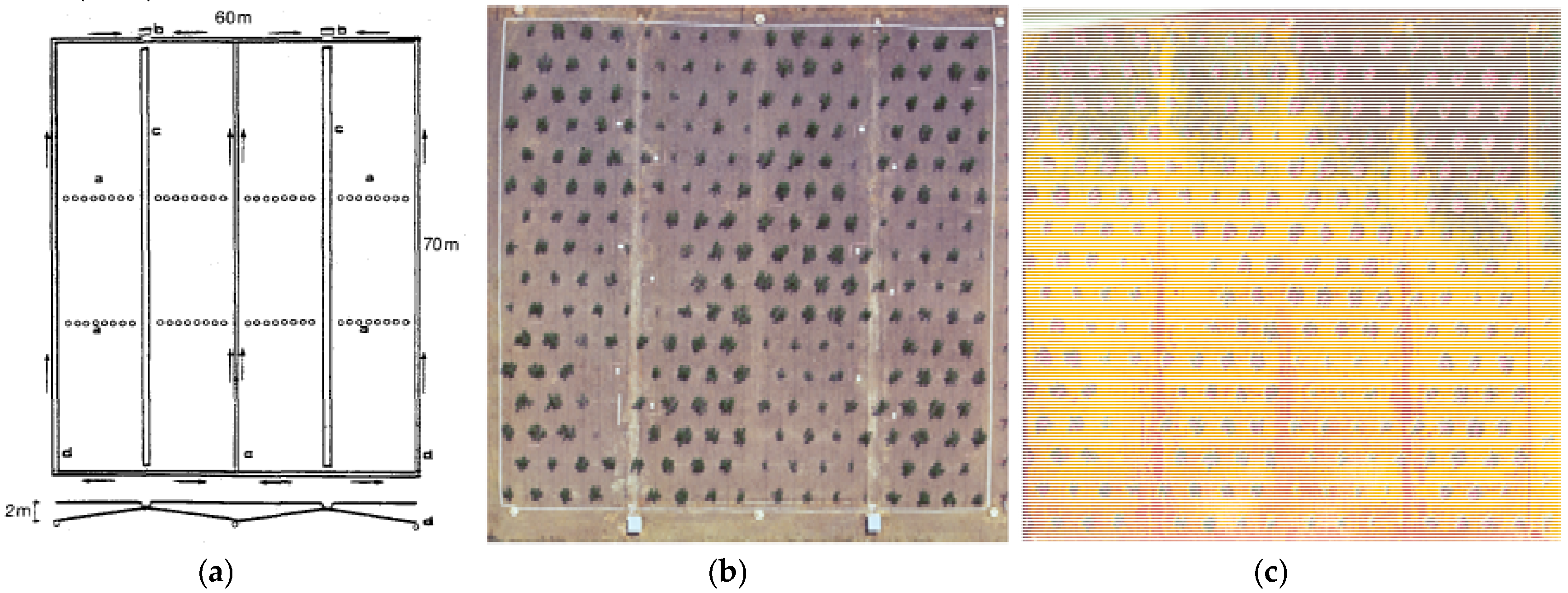 Horticulturae 03 00040 g001