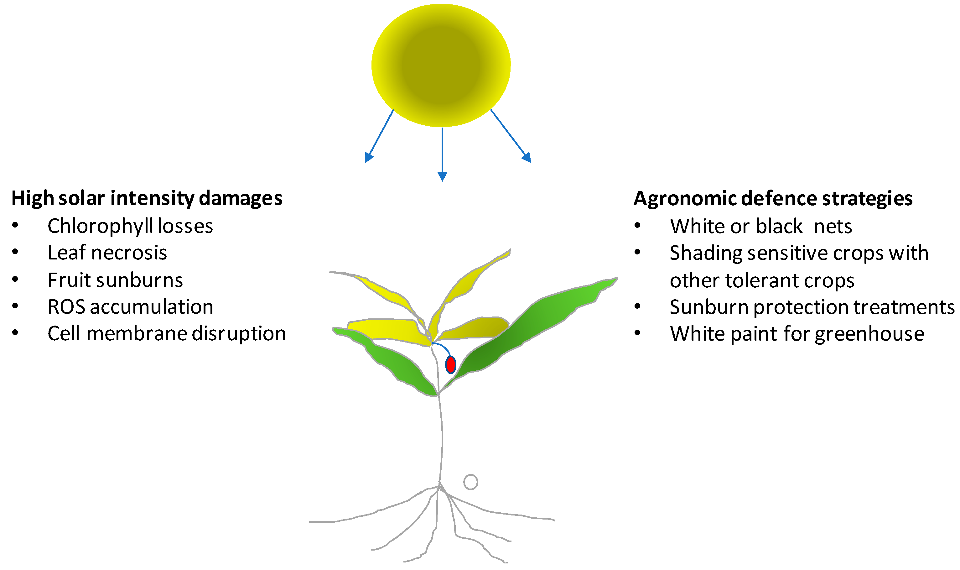 Horticulturae 04 00021 g001