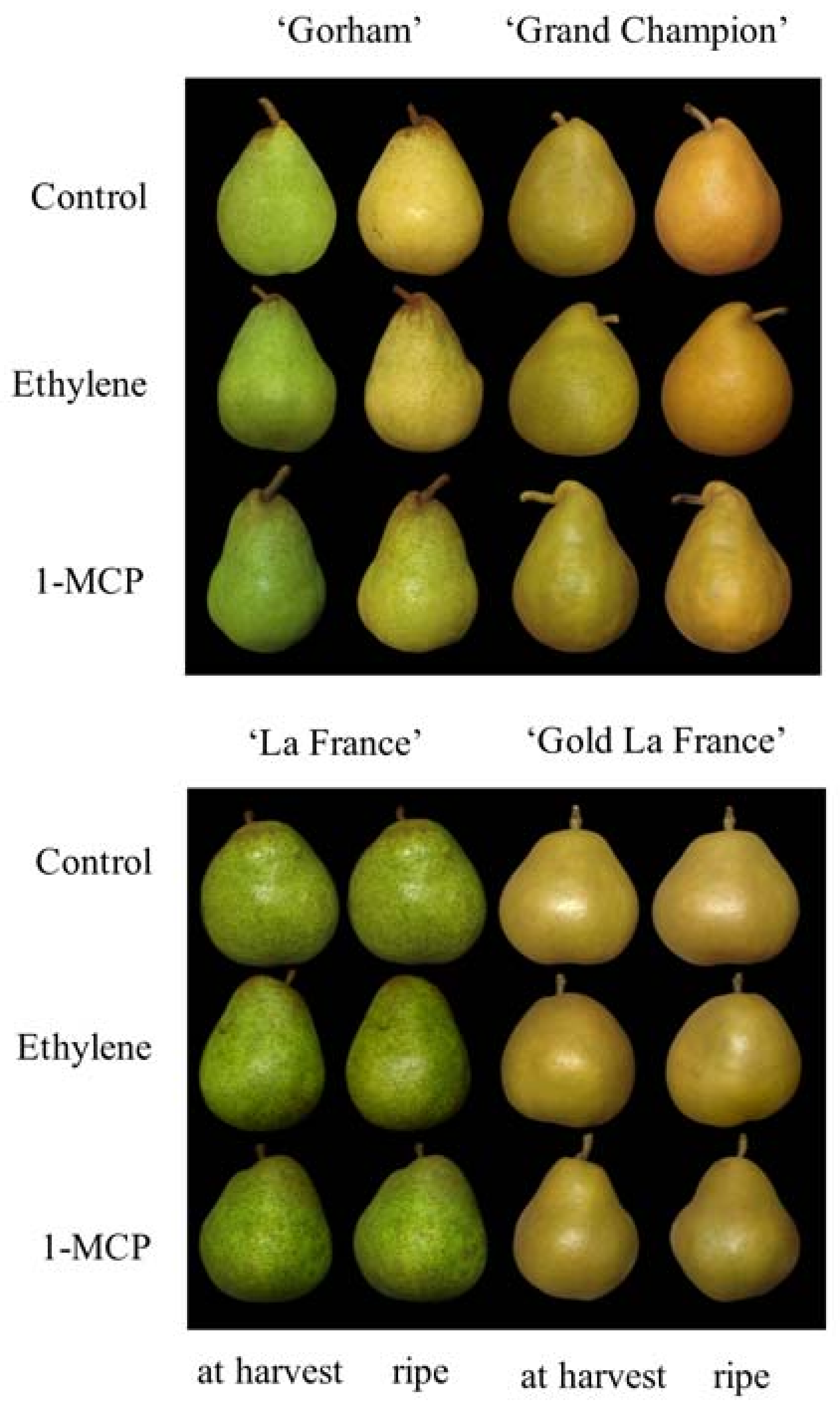 Horticulturae 04 00022 g003