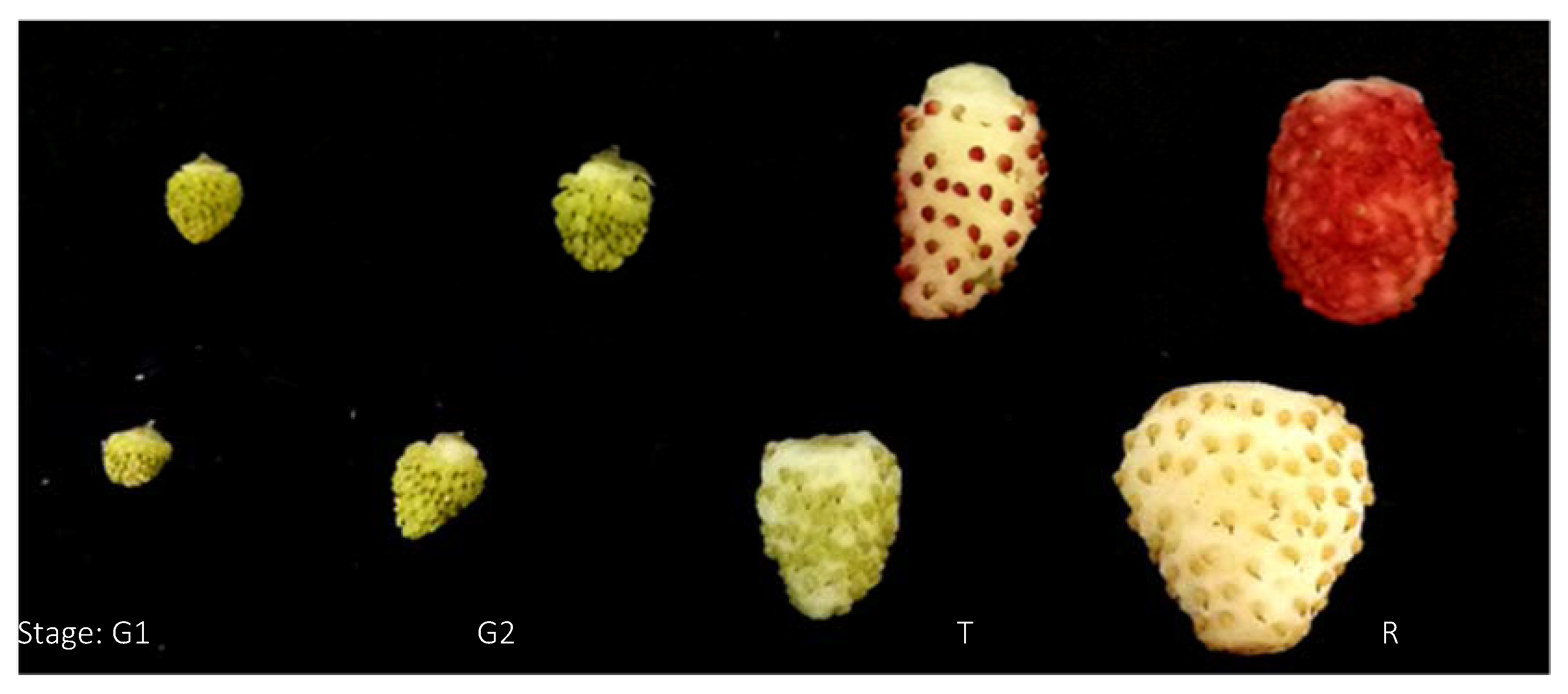 Horticulturae 04 00030 g001