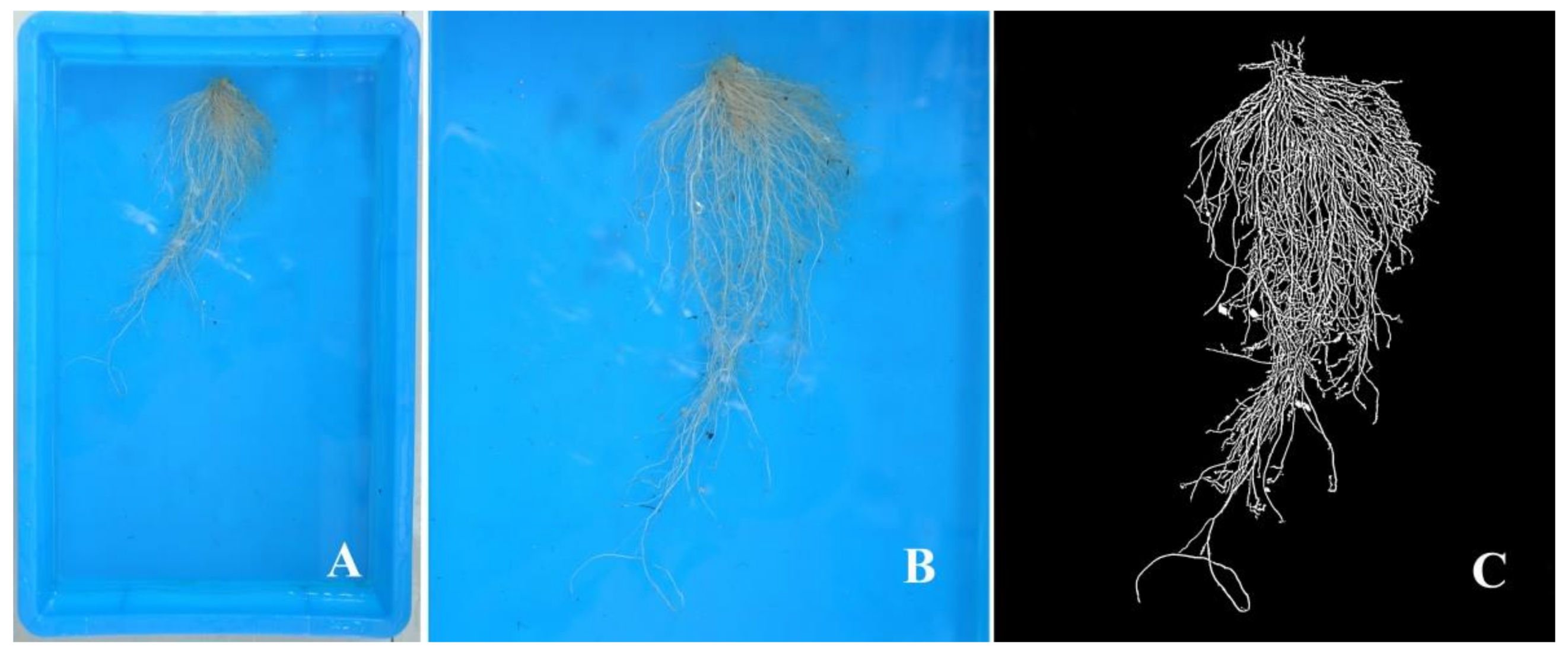 Horticulturae 04 00035 g001