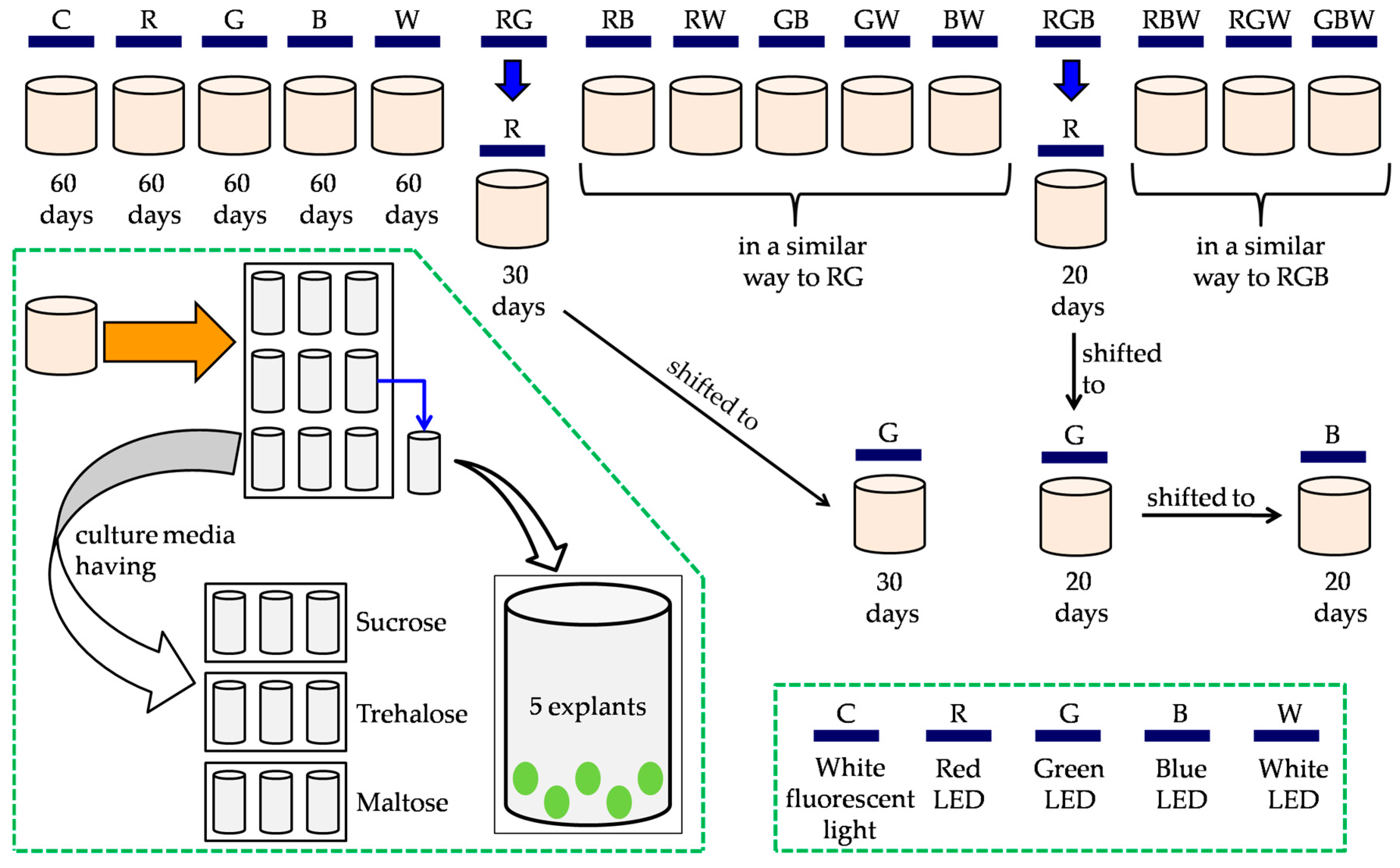 Horticulturae 05 00034 sch001