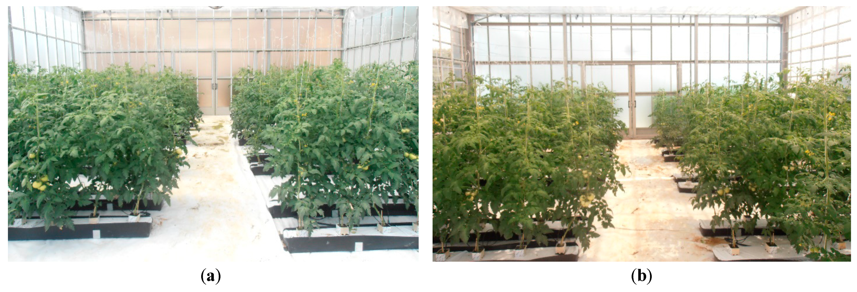 Horticulturae 05 00042 g002