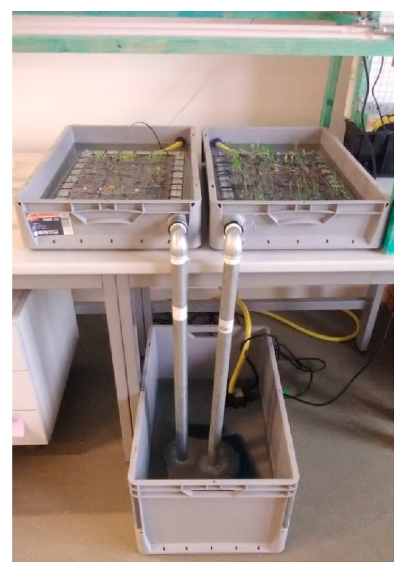 Horticulturae 05 00073 g001 Horticulturae 05 00073 g001
