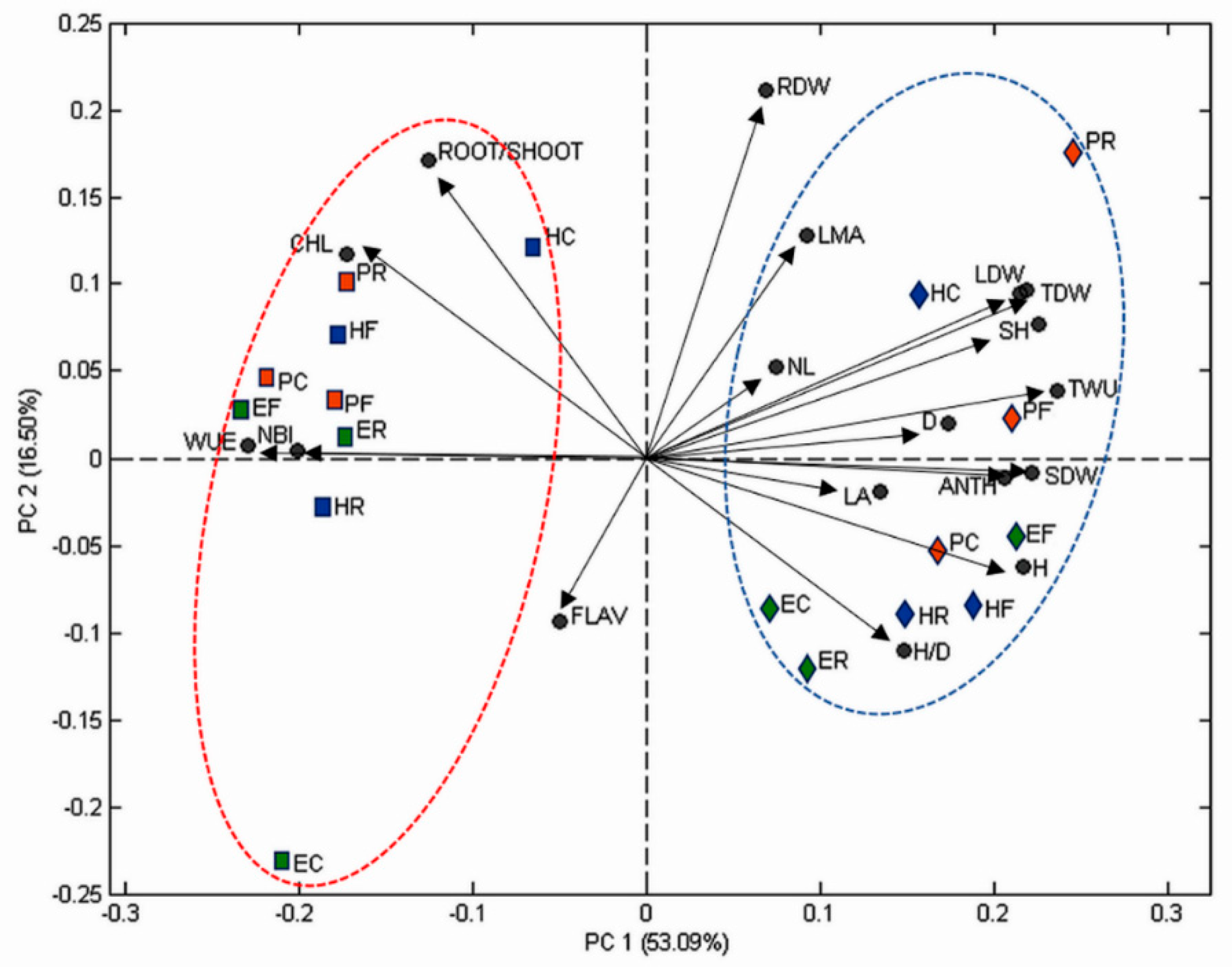 Horticulturae 05 00079 g001