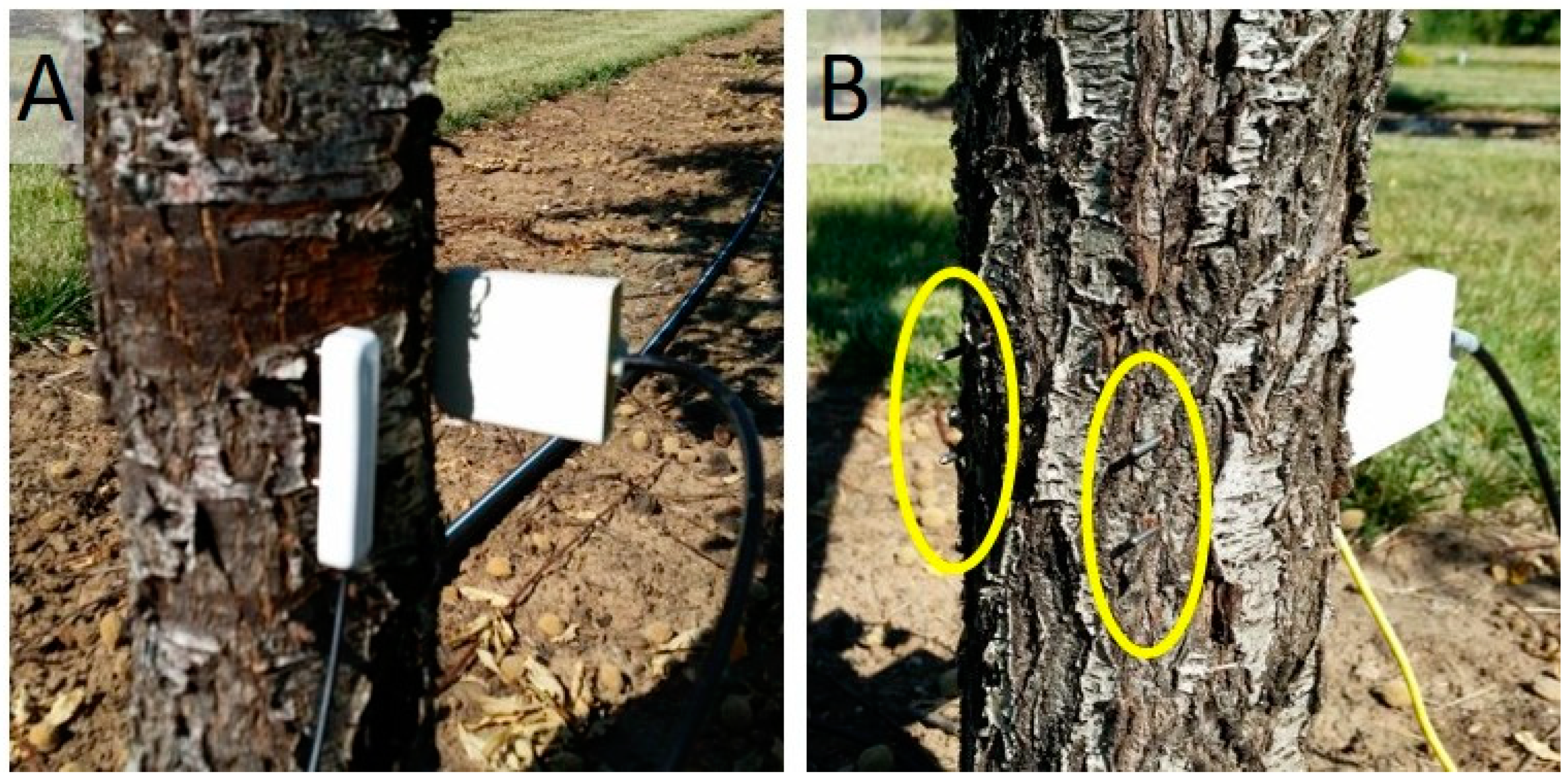 Horticulturae 06 00002 g002