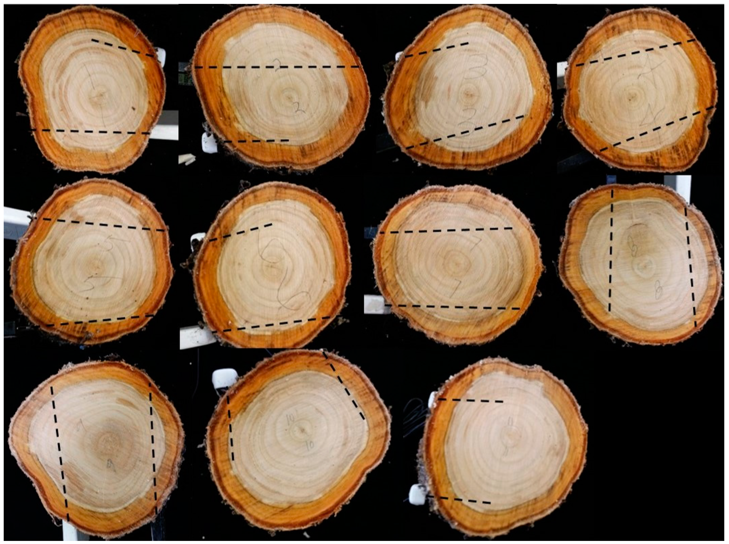 Horticulturae 06 00002 g003