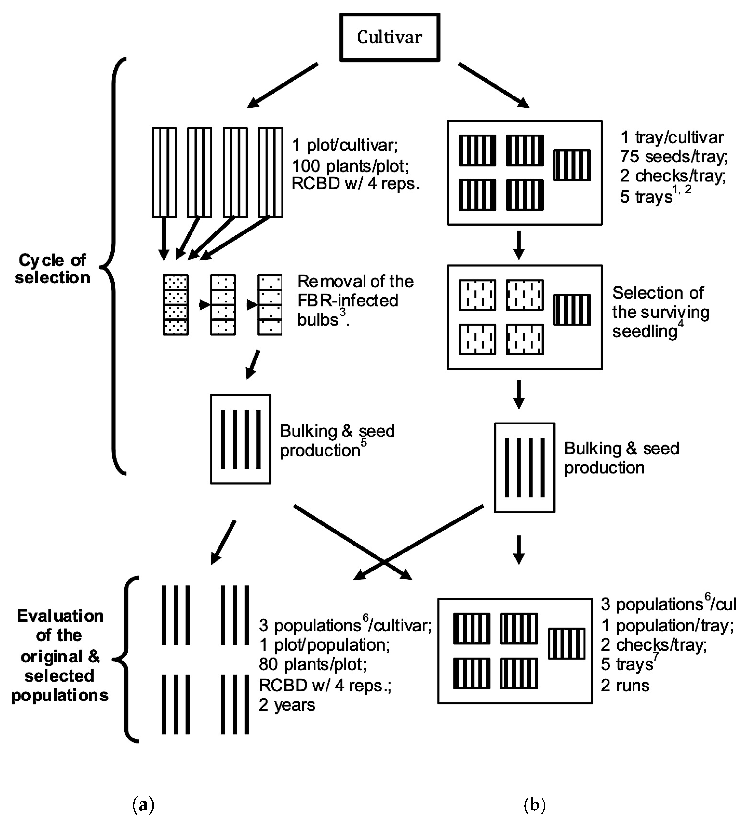 Horticulturae 06 00026 g001