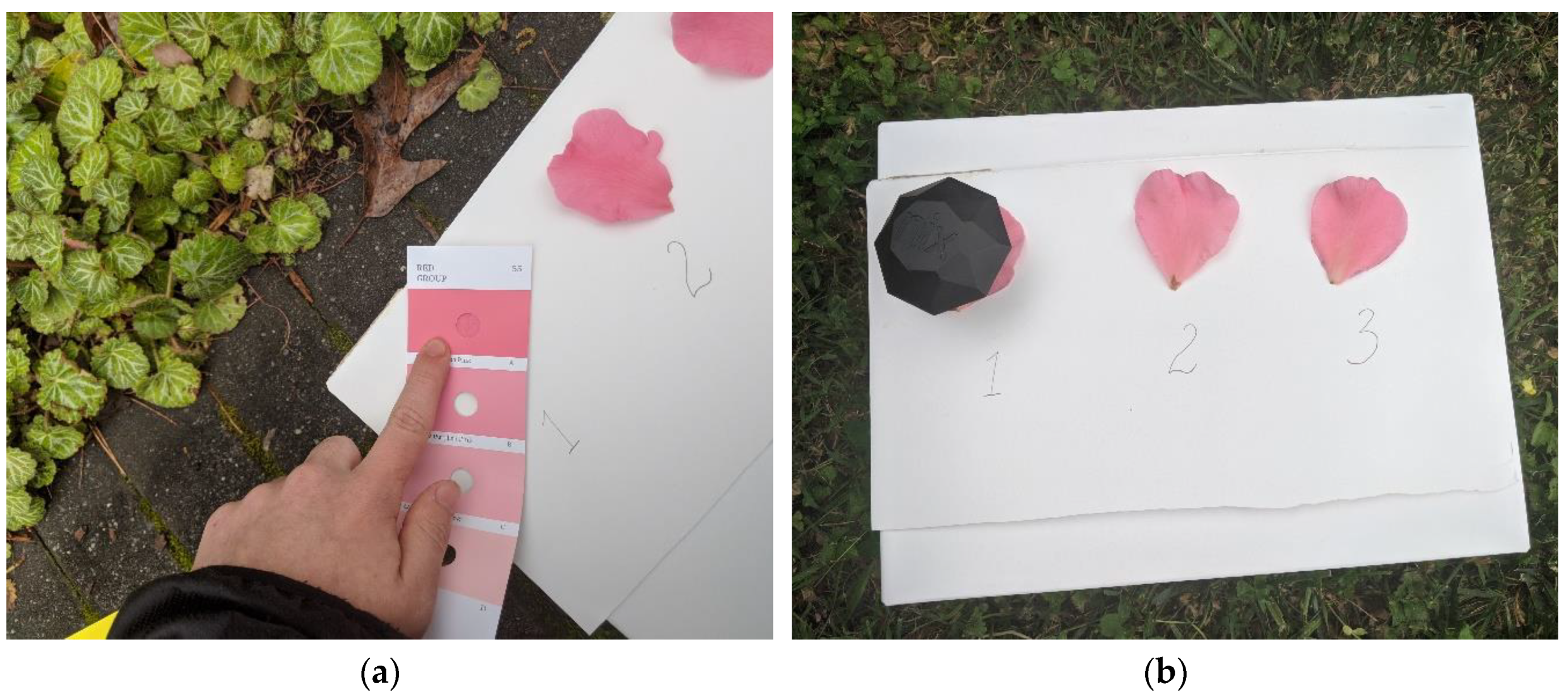 Horticulturae 06 00053 g003